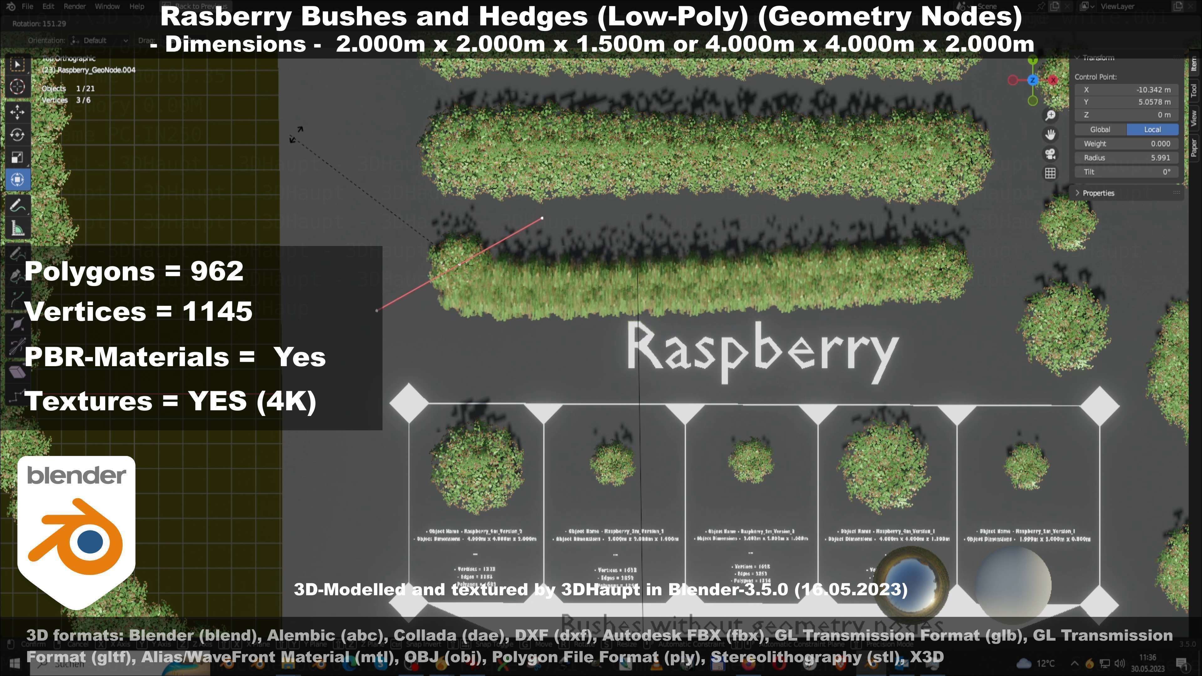 Low-Poly Rasberry Bushes and Hedges Low-poly 3D model_98