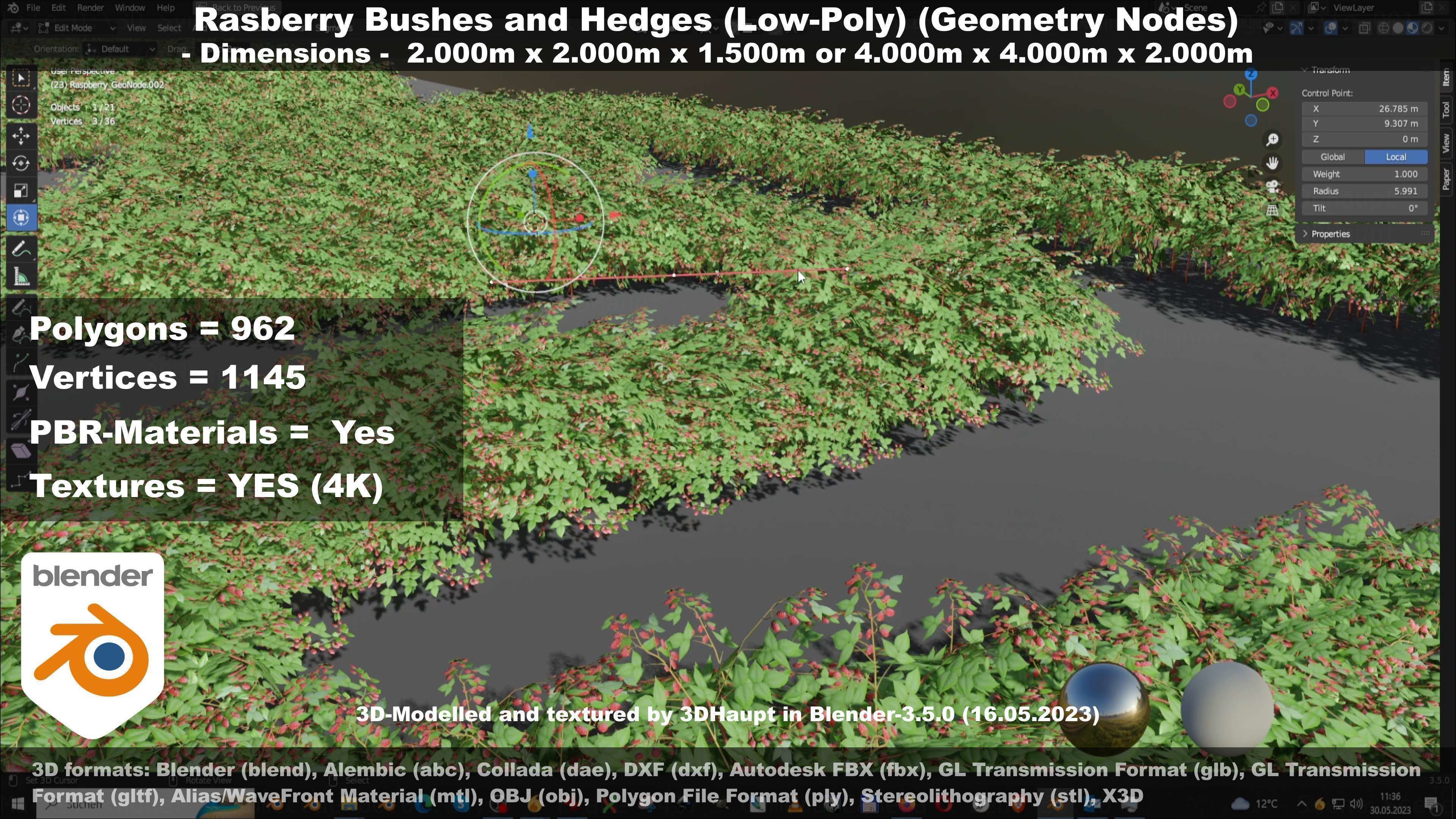 Low-Poly Rasberry Bushes and Hedges Low-poly 3D model_50