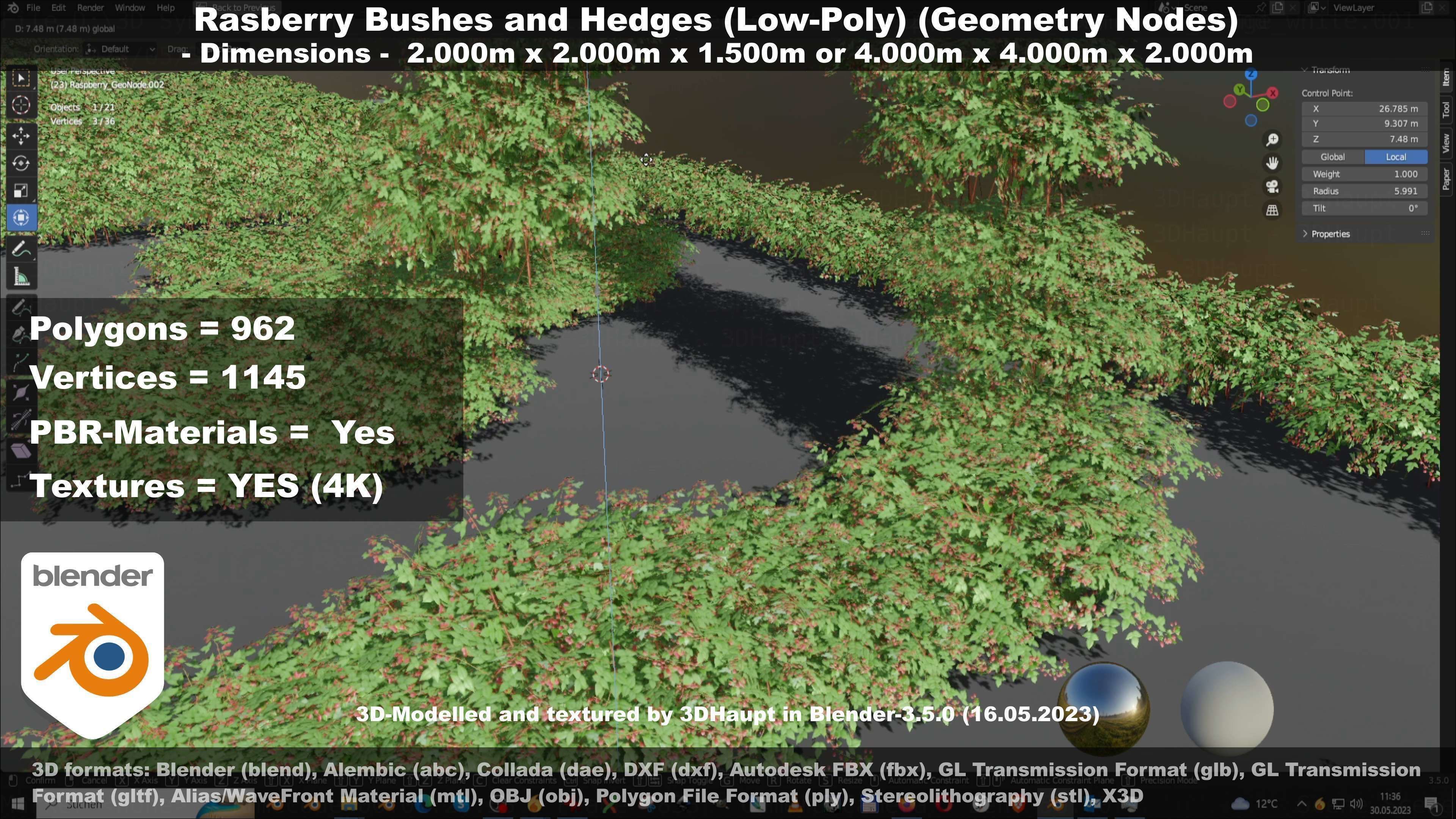 Low-Poly Rasberry Bushes and Hedges Low-poly 3D model_79