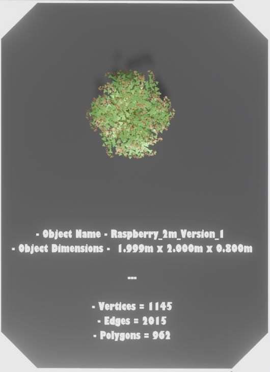 Low-Poly Rasberry Bushes and Hedges Low-poly 3D model_7