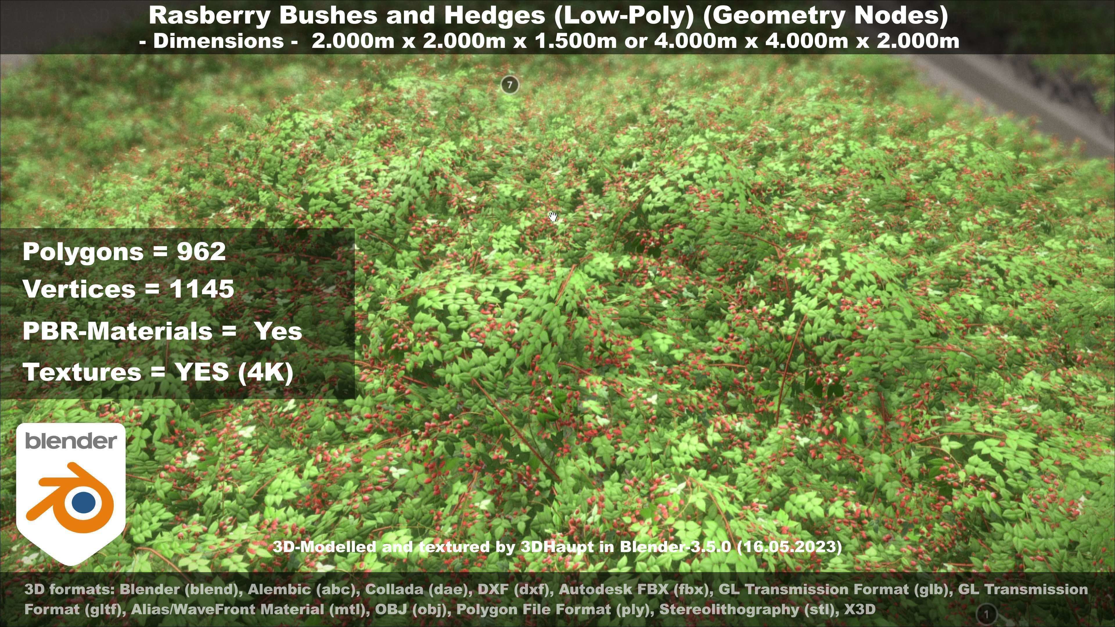 Low-Poly Rasberry Bushes and Hedges Low-poly 3D model_111