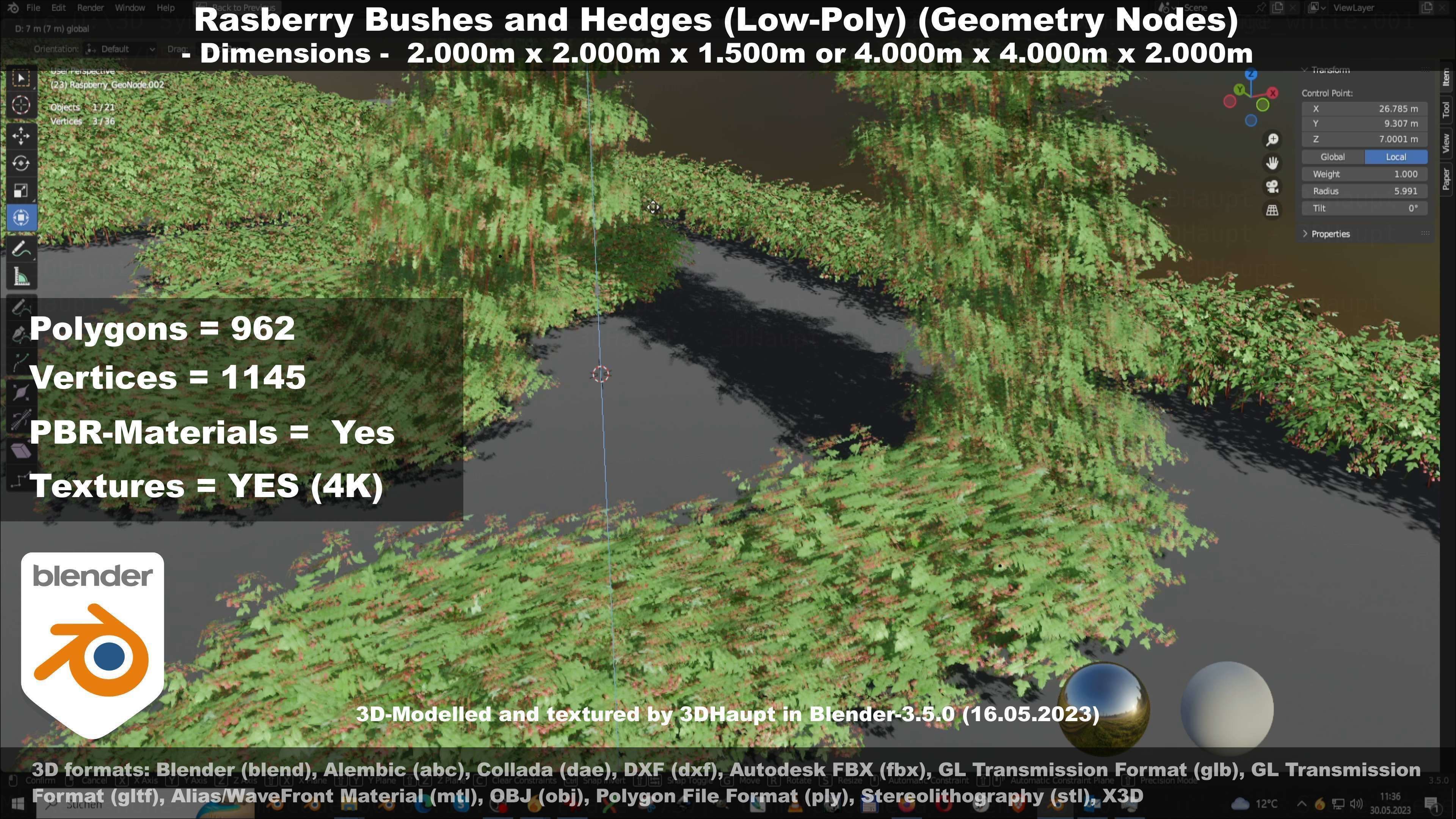 Low-Poly Rasberry Bushes and Hedges Low-poly 3D model_78