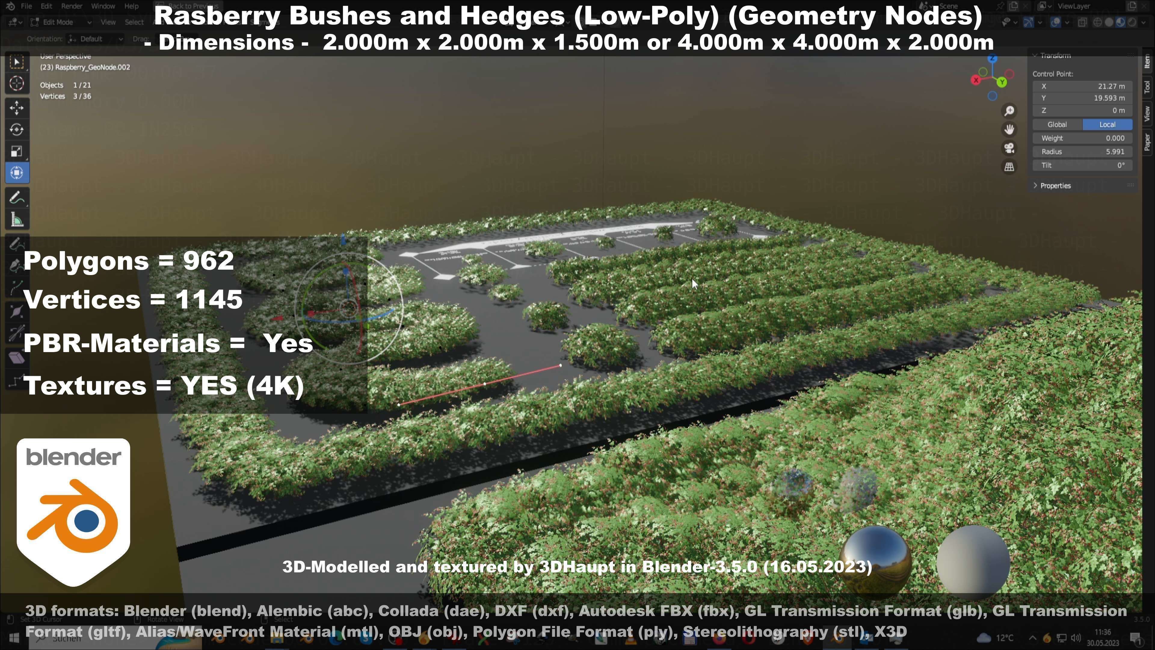 Low-Poly Rasberry Bushes and Hedges Low-poly 3D model_48