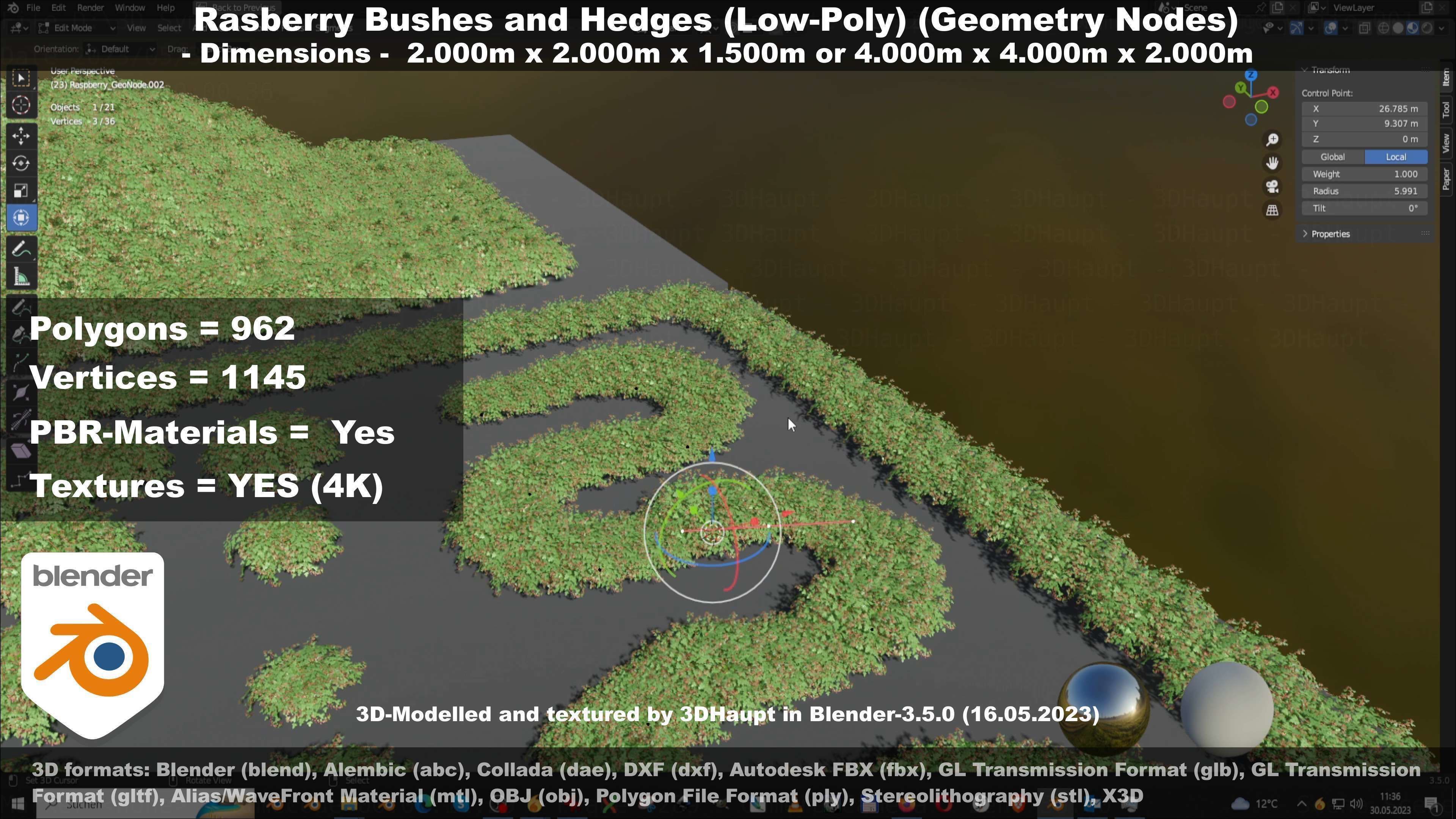 Low-Poly Rasberry Bushes and Hedges Low-poly 3D model_75