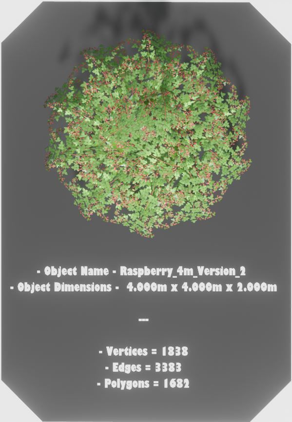 Low-Poly Rasberry Bushes and Hedges Low-poly 3D model_6