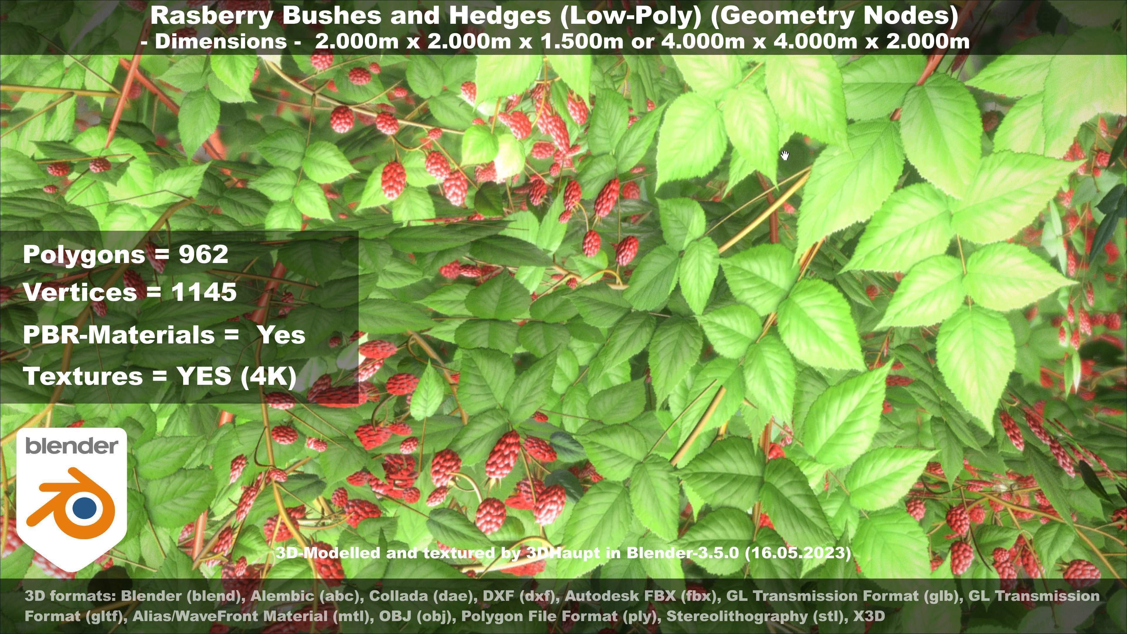 Low-Poly Rasberry Bushes and Hedges Low-poly 3D model_27