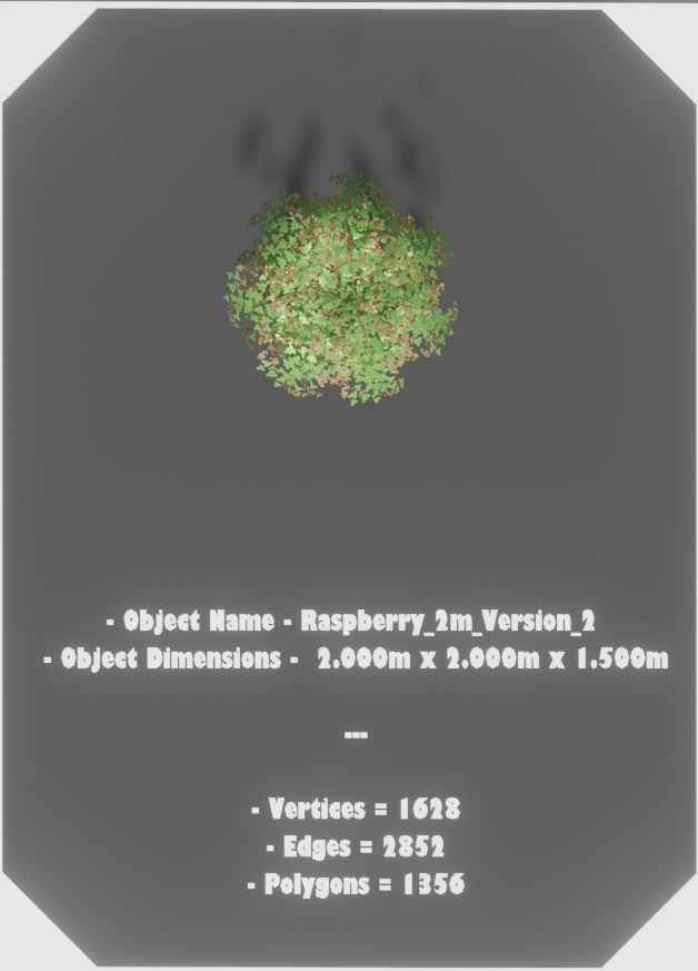 Low-Poly Rasberry Bushes and Hedges Low-poly 3D model_18