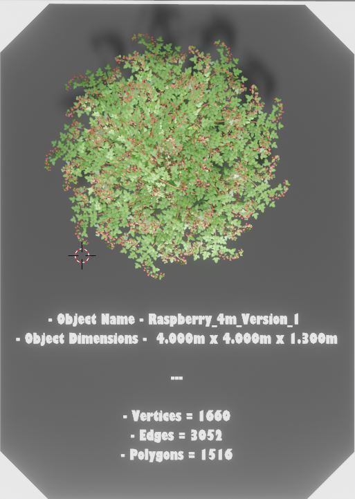 Low-Poly Rasberry Bushes and Hedges Low-poly 3D model_9