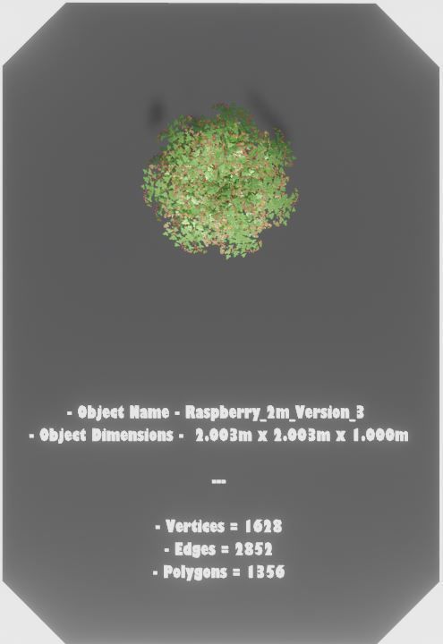 Low-Poly Rasberry Bushes and Hedges Low-poly 3D model_8