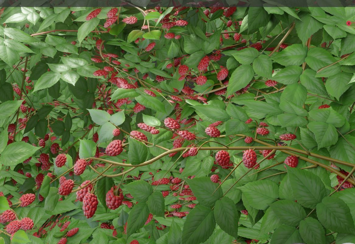 Low-Poly Rasberry Bushes and Hedges Low-poly 3D model_4