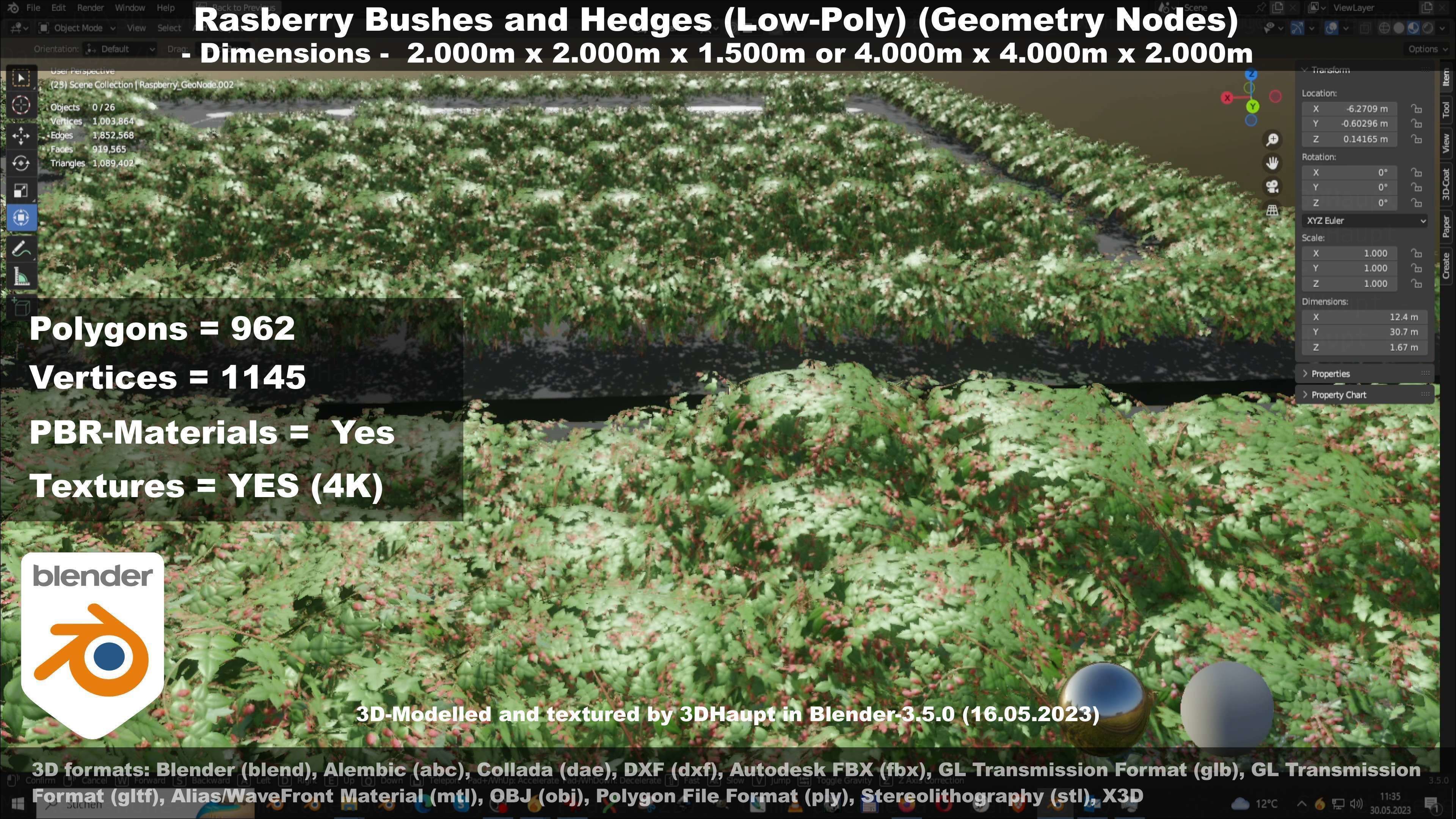 Low-Poly Rasberry Bushes and Hedges Low-poly 3D model_46