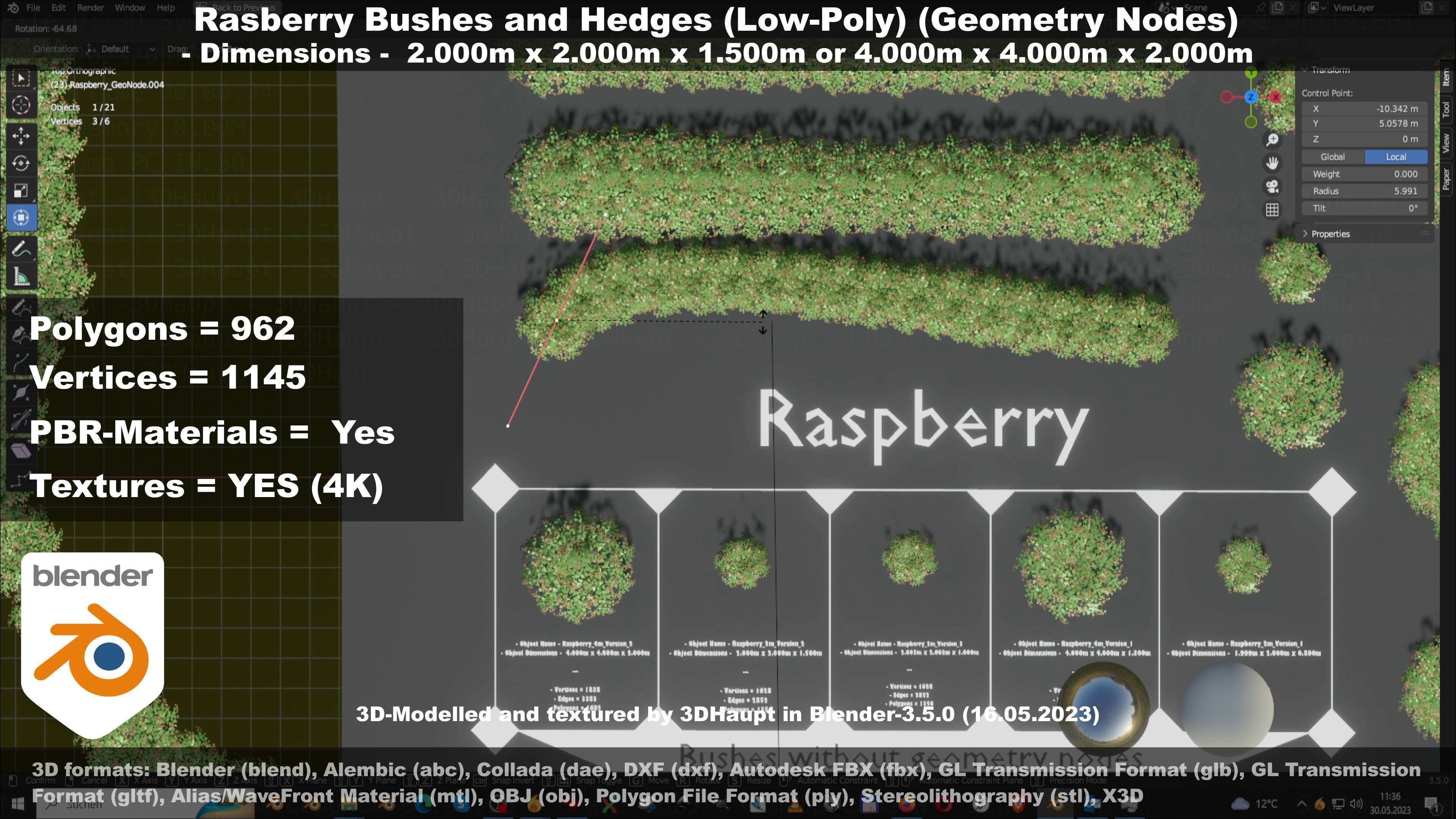 Low-Poly Rasberry Bushes and Hedges Low-poly 3D model_97