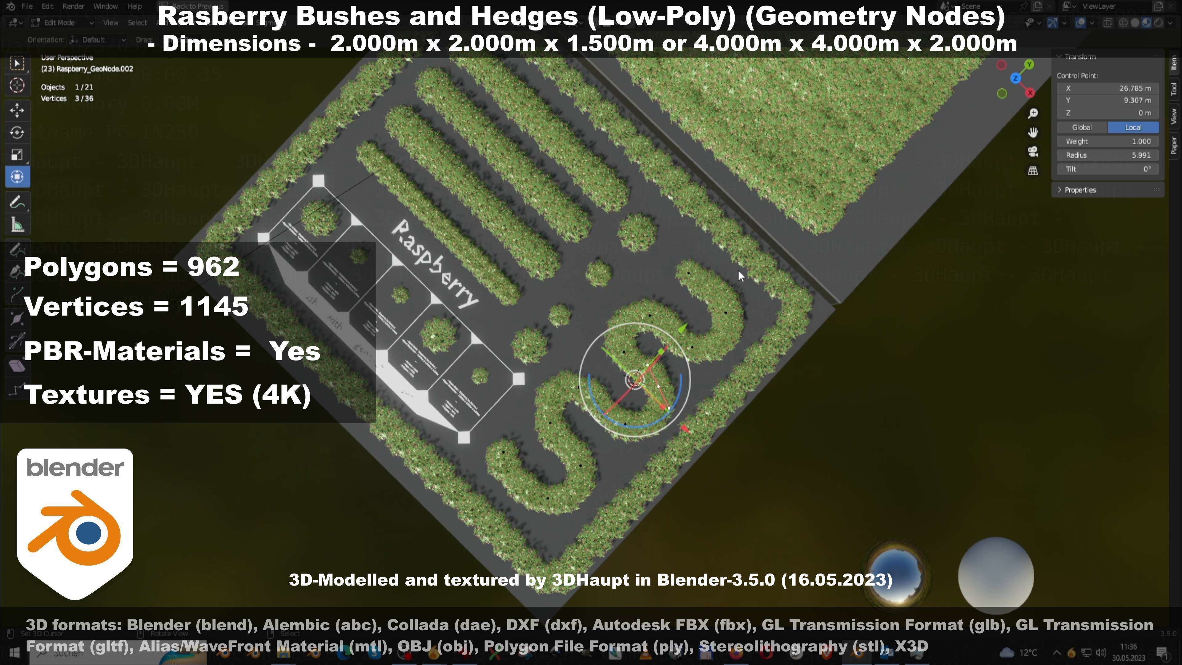 Low-Poly Rasberry Bushes and Hedges Low-poly 3D model_81