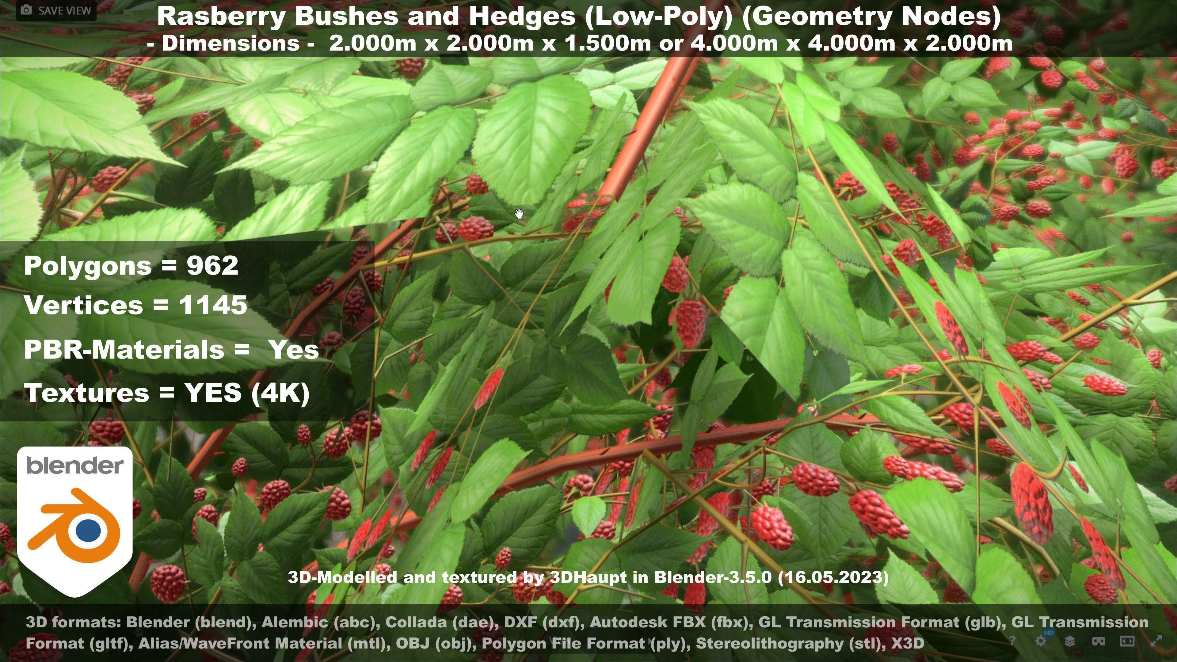 Low-Poly Rasberry Bushes and Hedges Low-poly 3D model_29