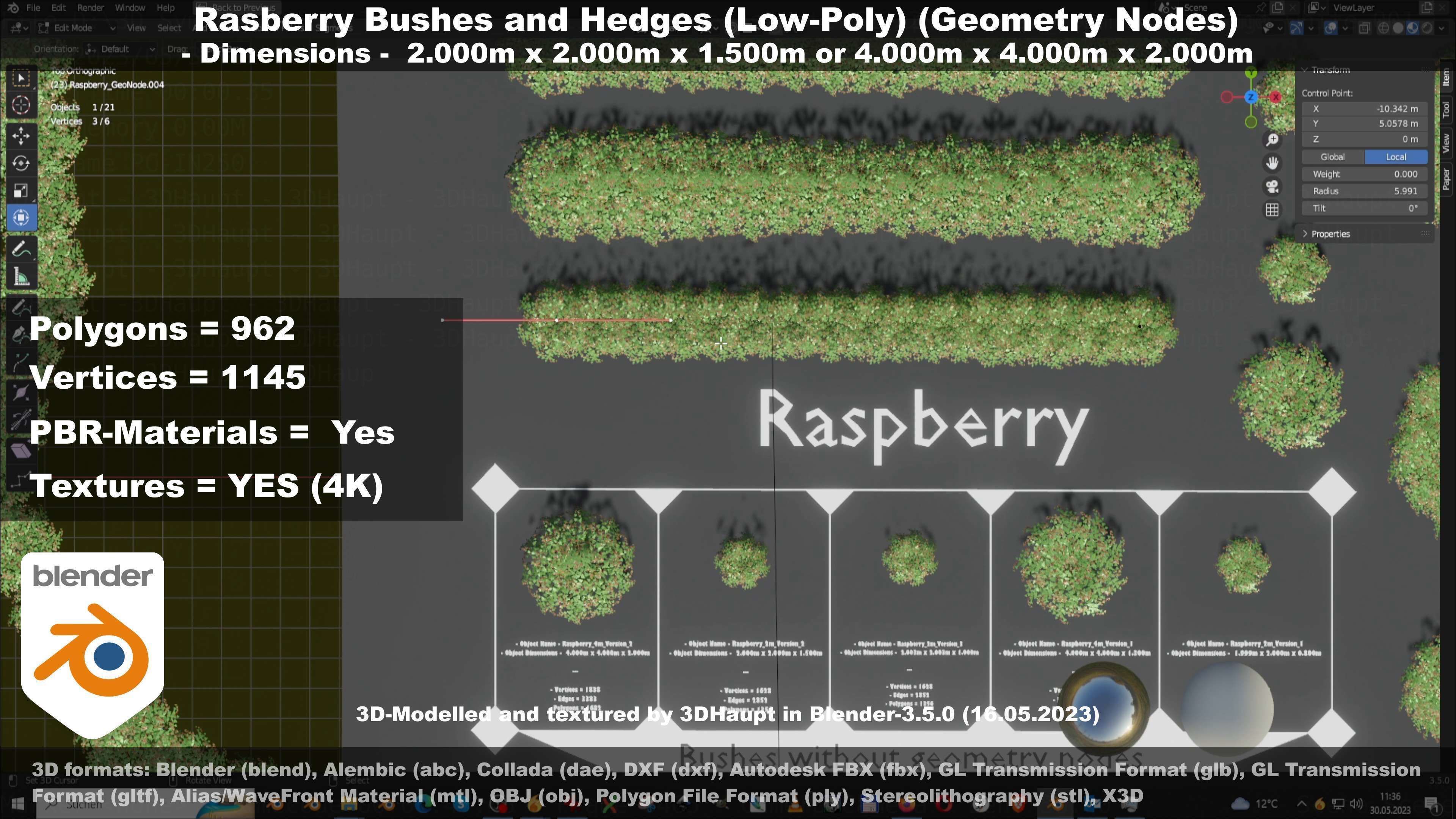 Low-Poly Rasberry Bushes and Hedges Low-poly 3D model_95