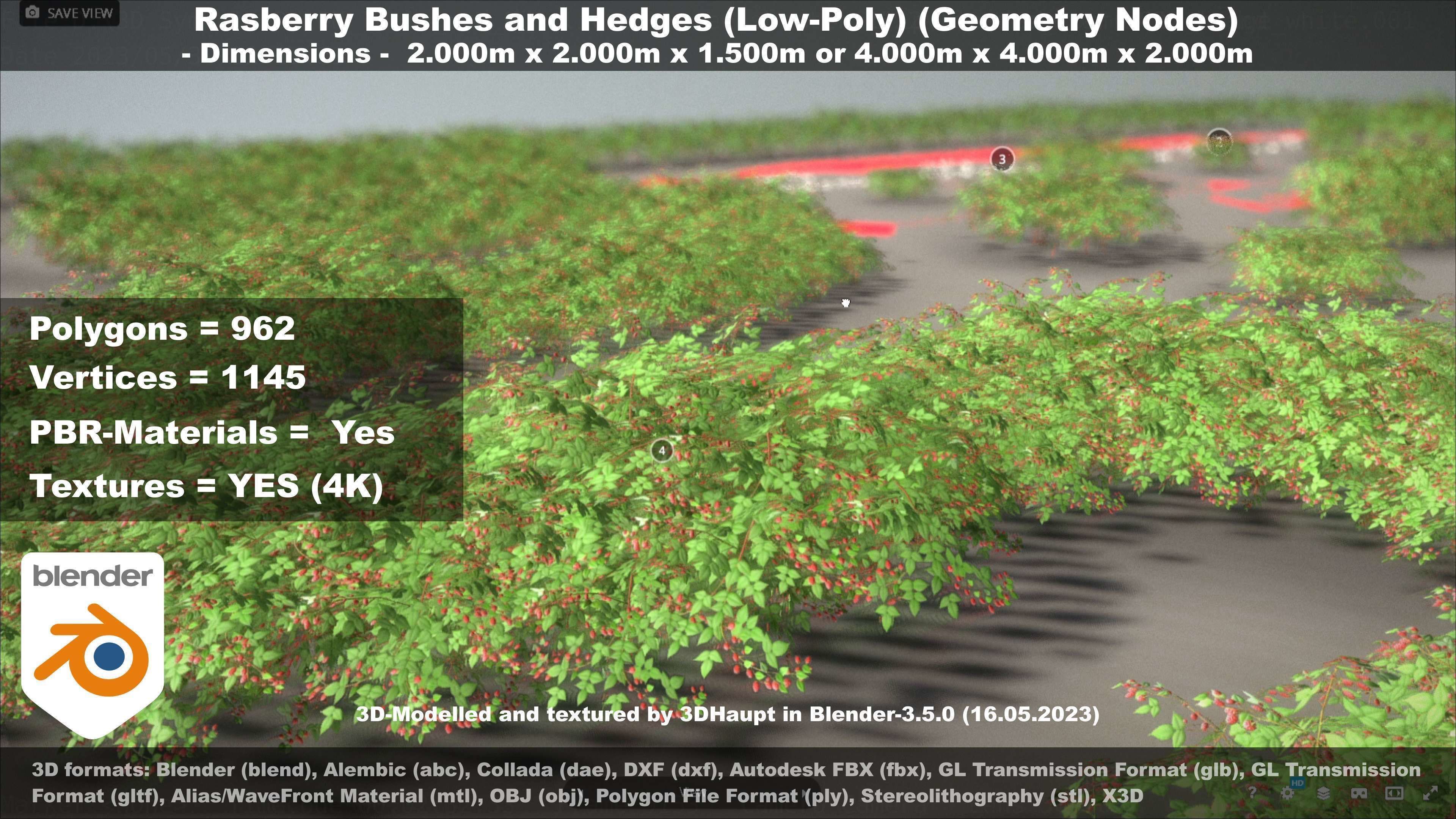 Low-Poly Rasberry Bushes and Hedges Low-poly 3D model_34