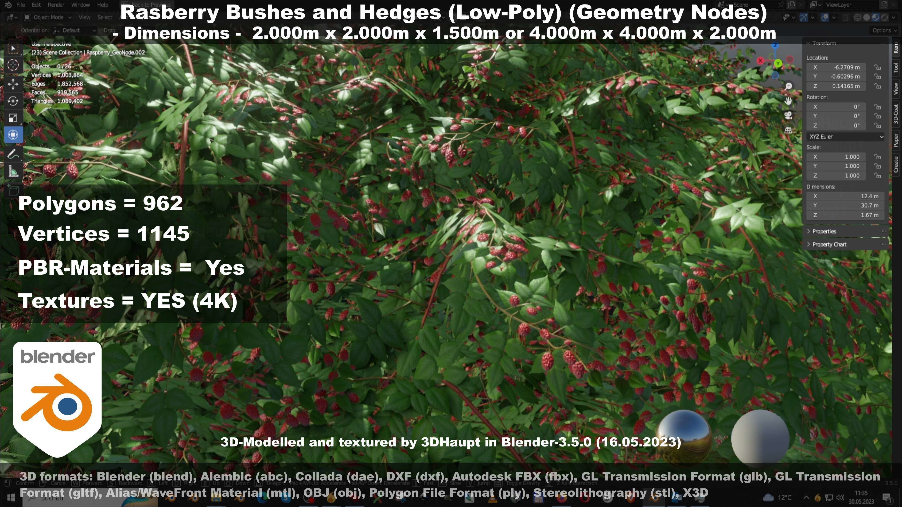 Low-Poly Rasberry Bushes and Hedges Low-poly 3D model_64