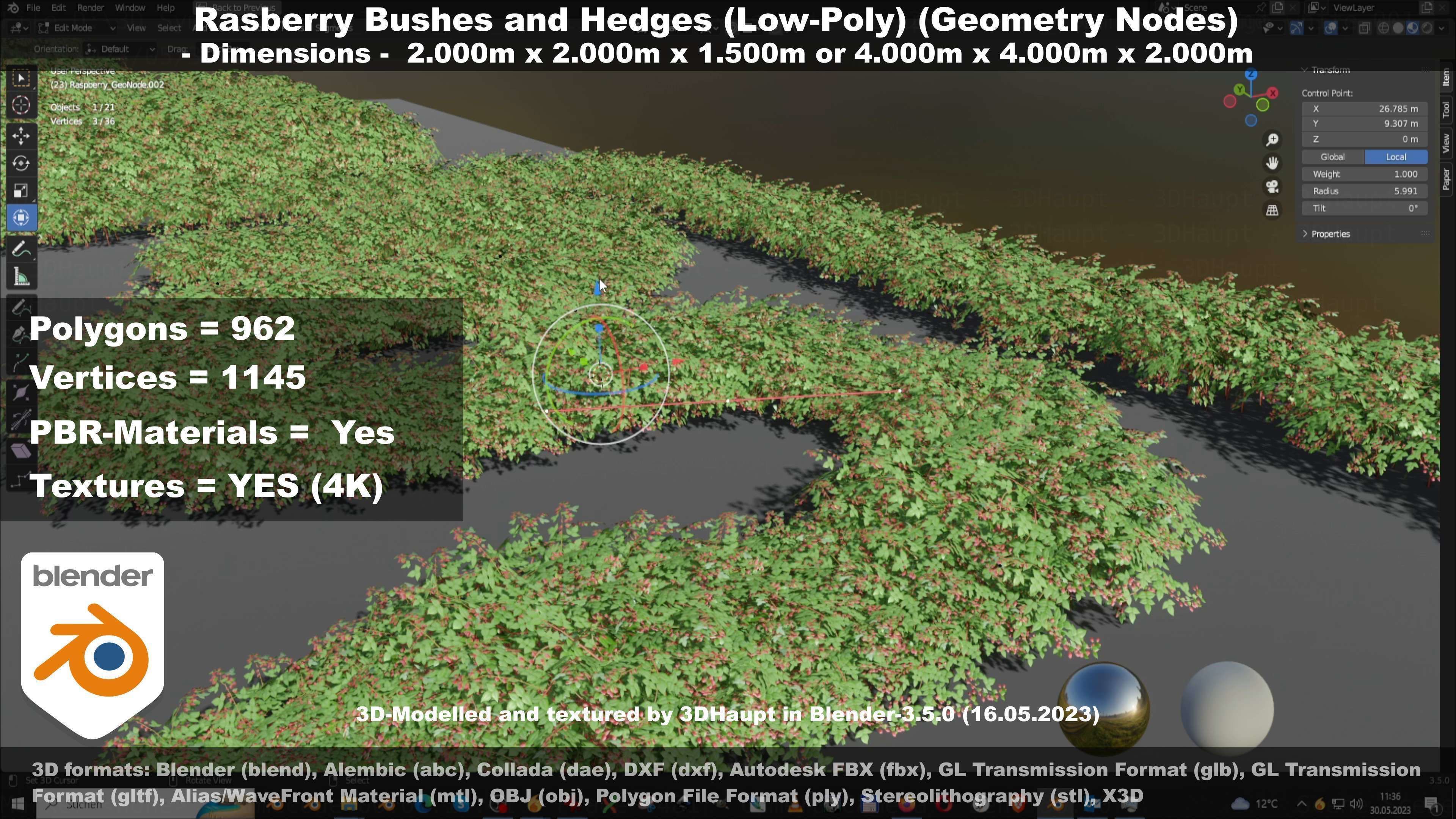 Low-Poly Rasberry Bushes and Hedges Low-poly 3D model_76