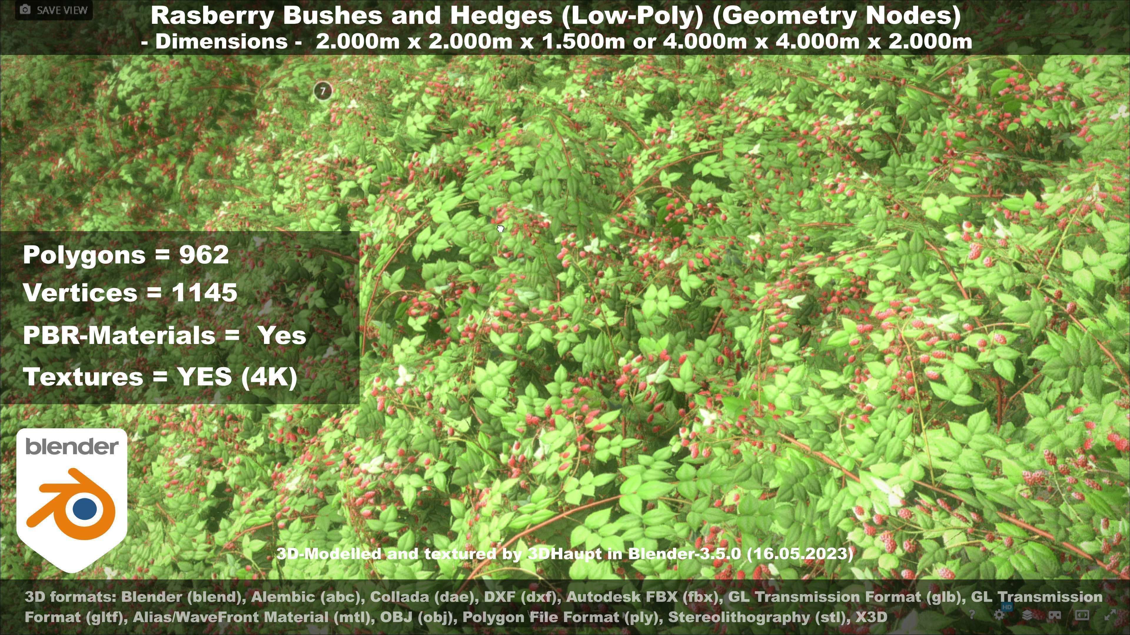 Low-Poly Rasberry Bushes and Hedges Low-poly 3D model_110