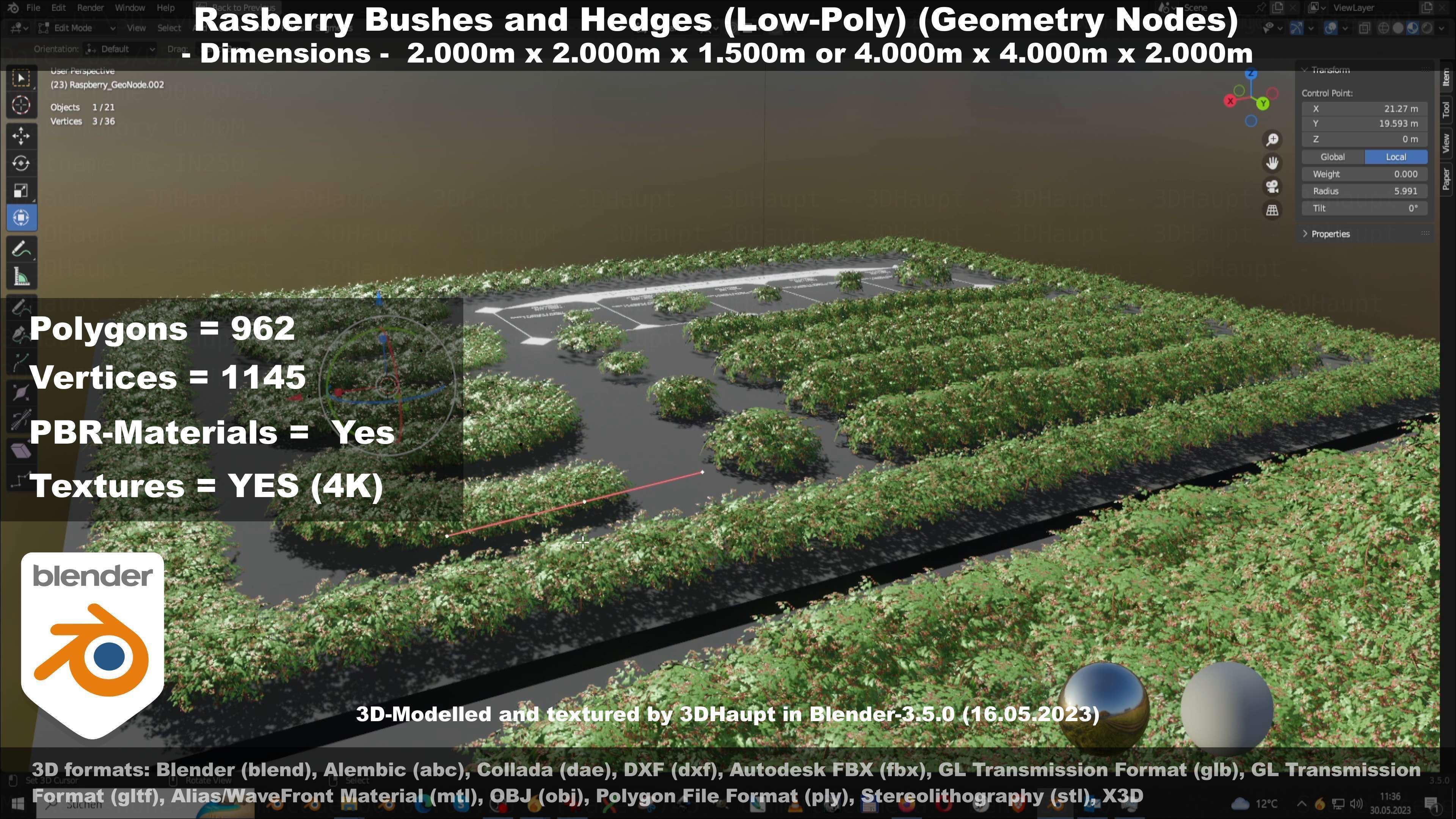 Low-Poly Rasberry Bushes and Hedges Low-poly 3D model_69