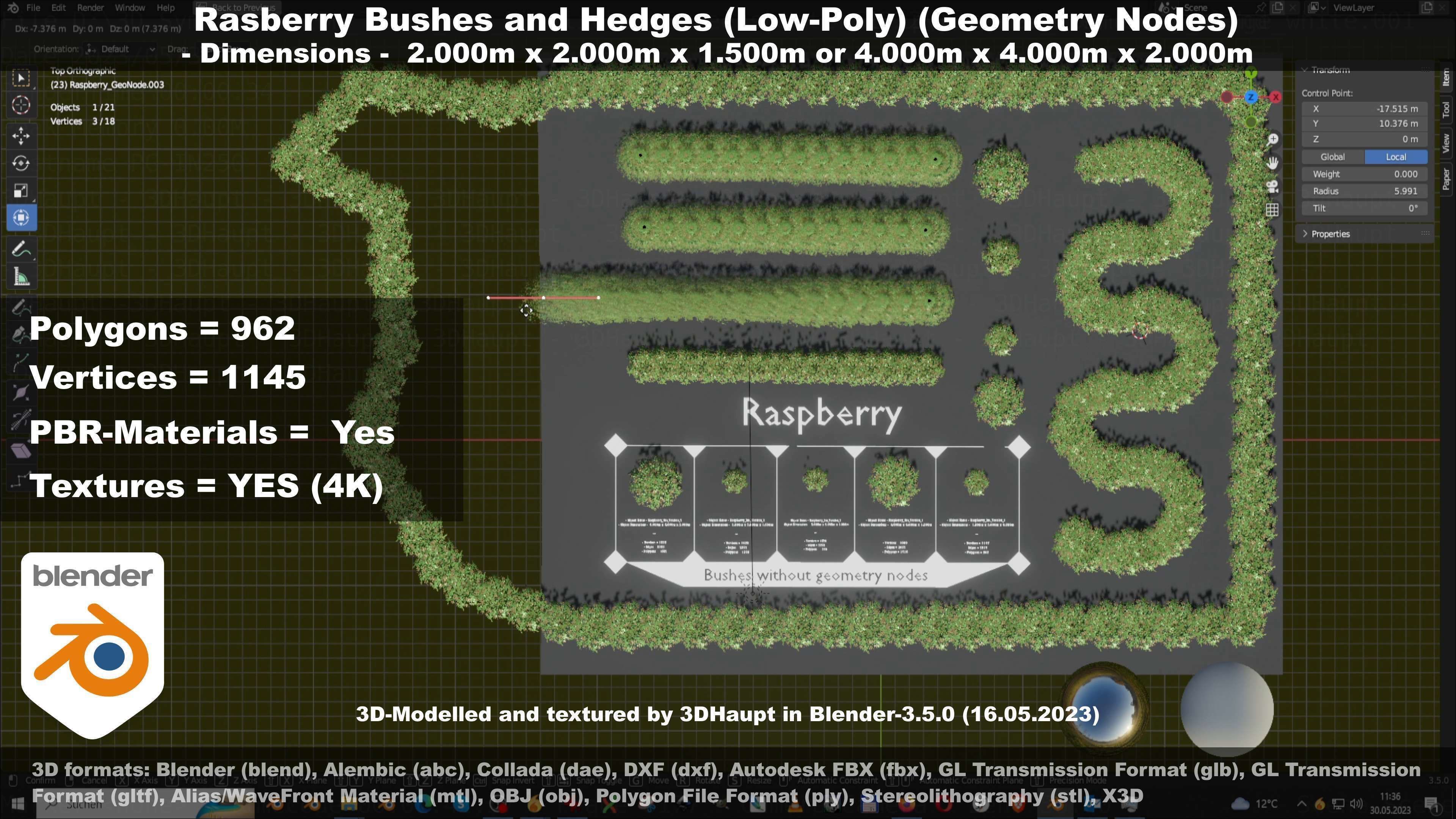 Low-Poly Rasberry Bushes and Hedges Low-poly 3D model_92