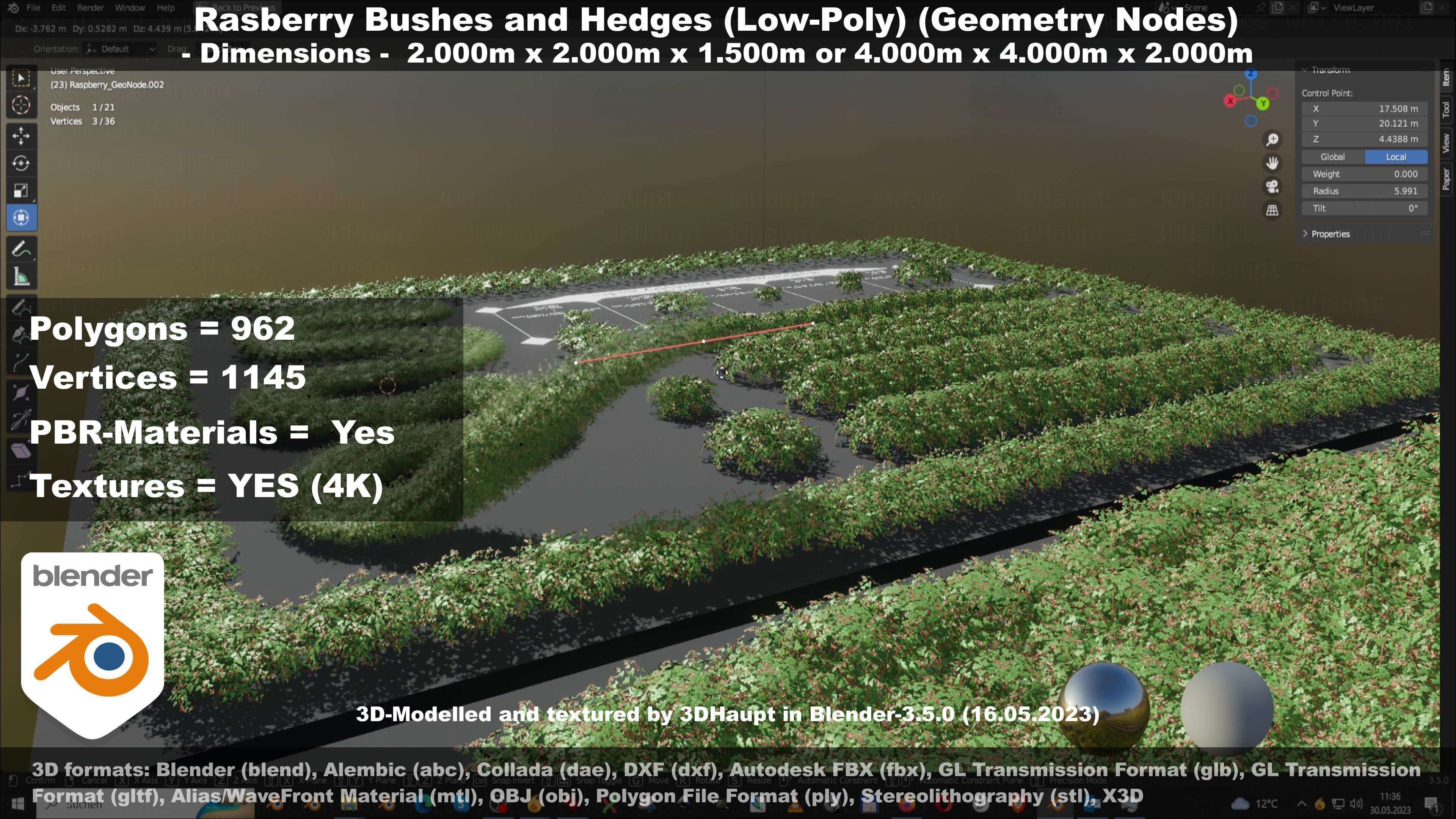 Low-Poly Rasberry Bushes and Hedges Low-poly 3D model_70