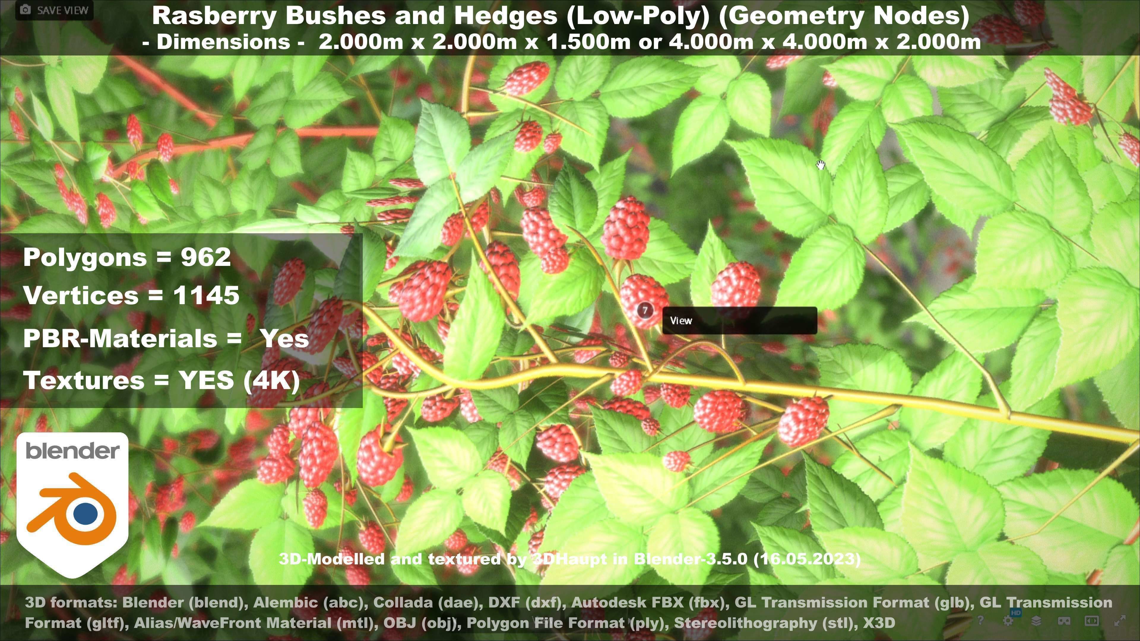 Low-Poly Rasberry Bushes and Hedges Low-poly 3D model_109