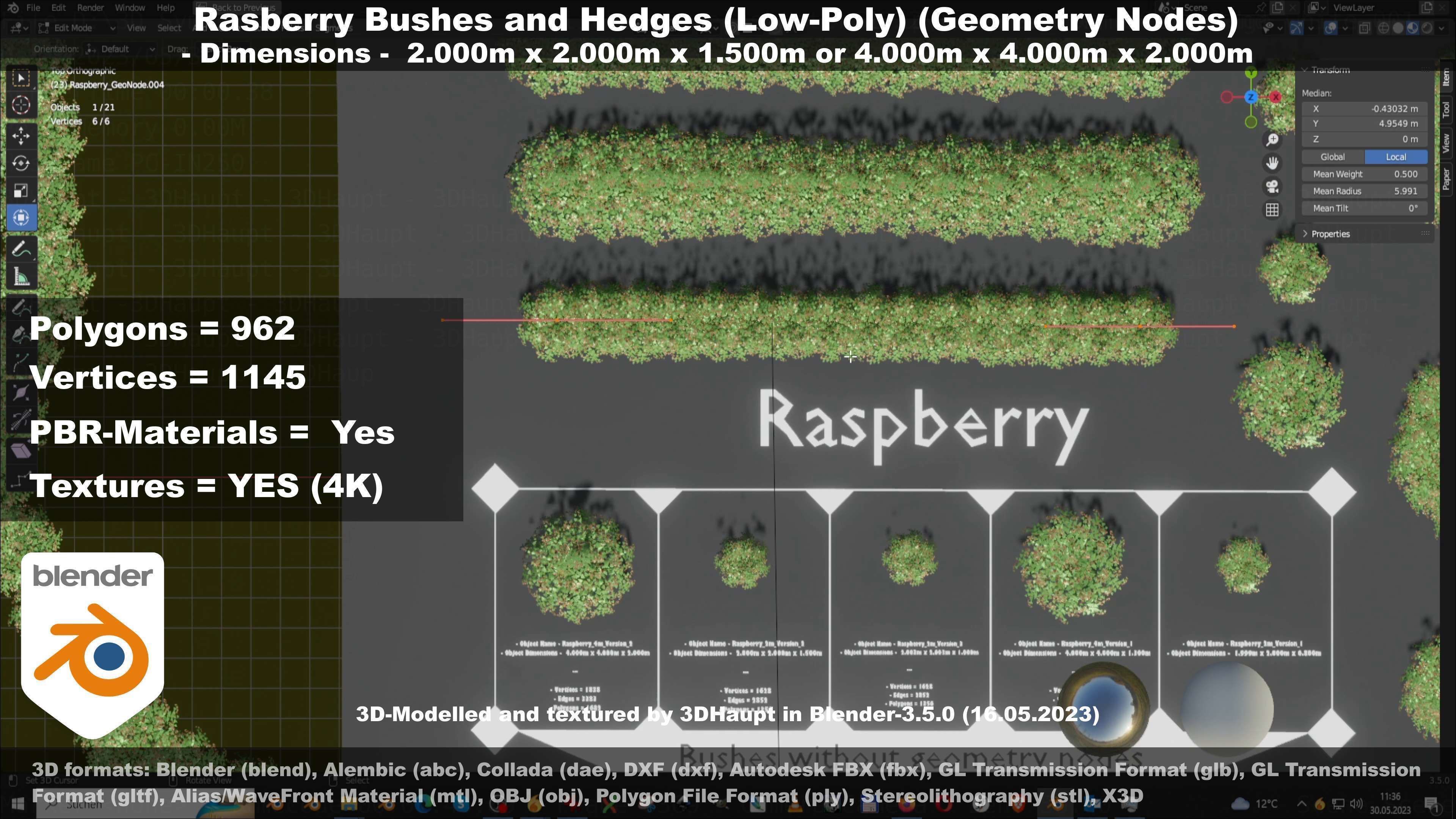 Low-Poly Rasberry Bushes and Hedges Low-poly 3D model_94