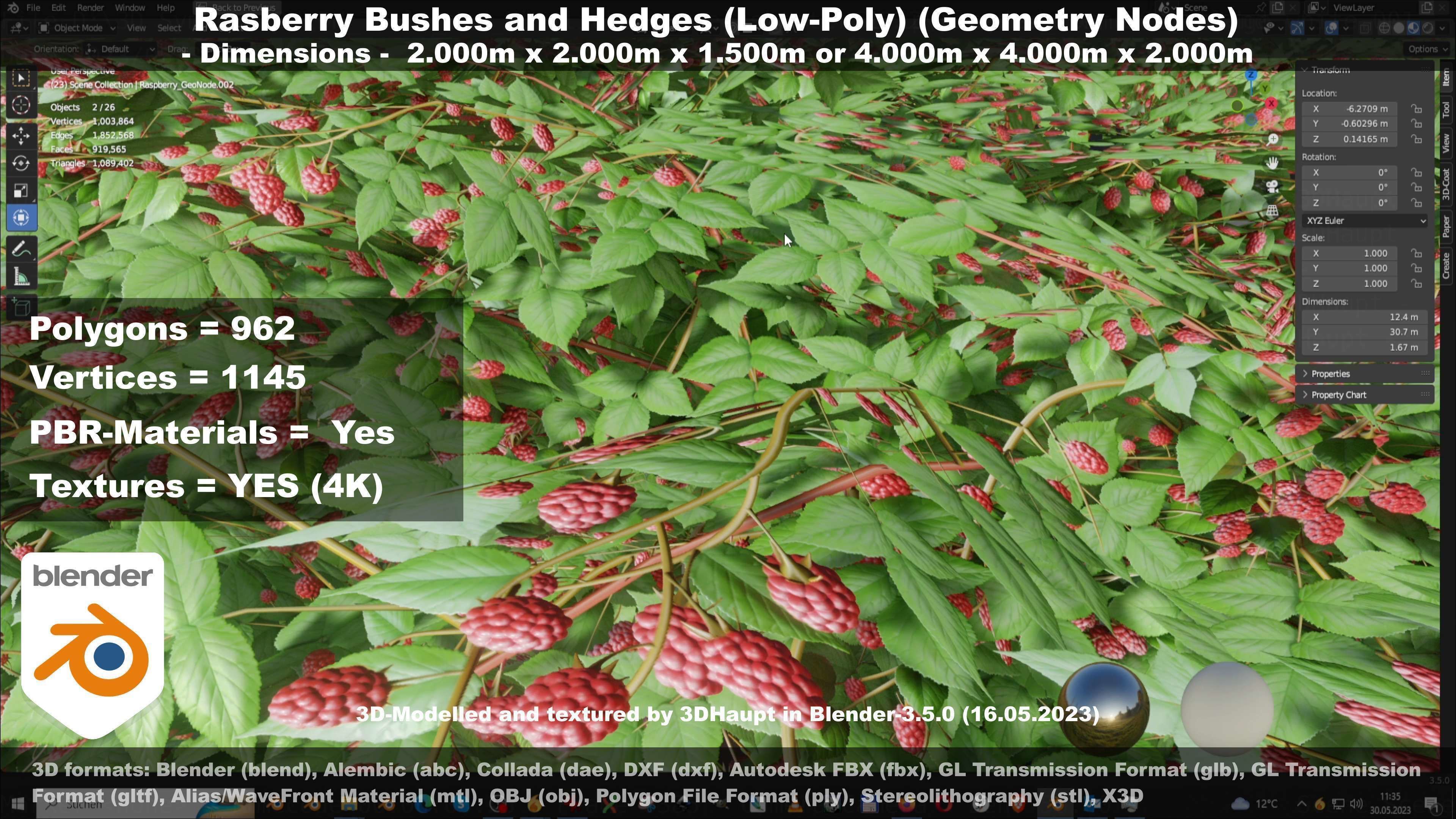 Low-Poly Rasberry Bushes and Hedges Low-poly 3D model_126