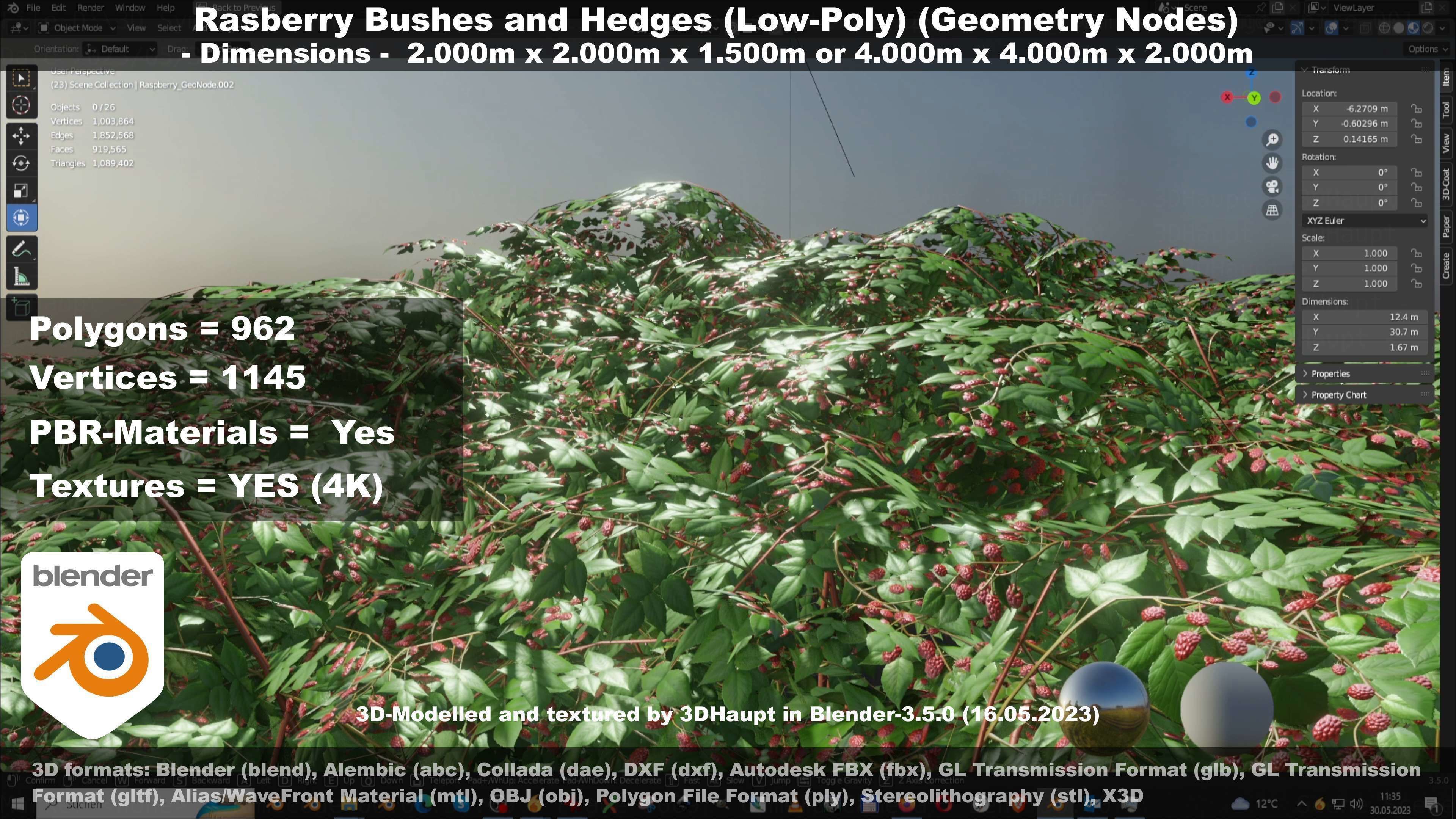 Low-Poly Rasberry Bushes and Hedges Low-poly 3D model_62