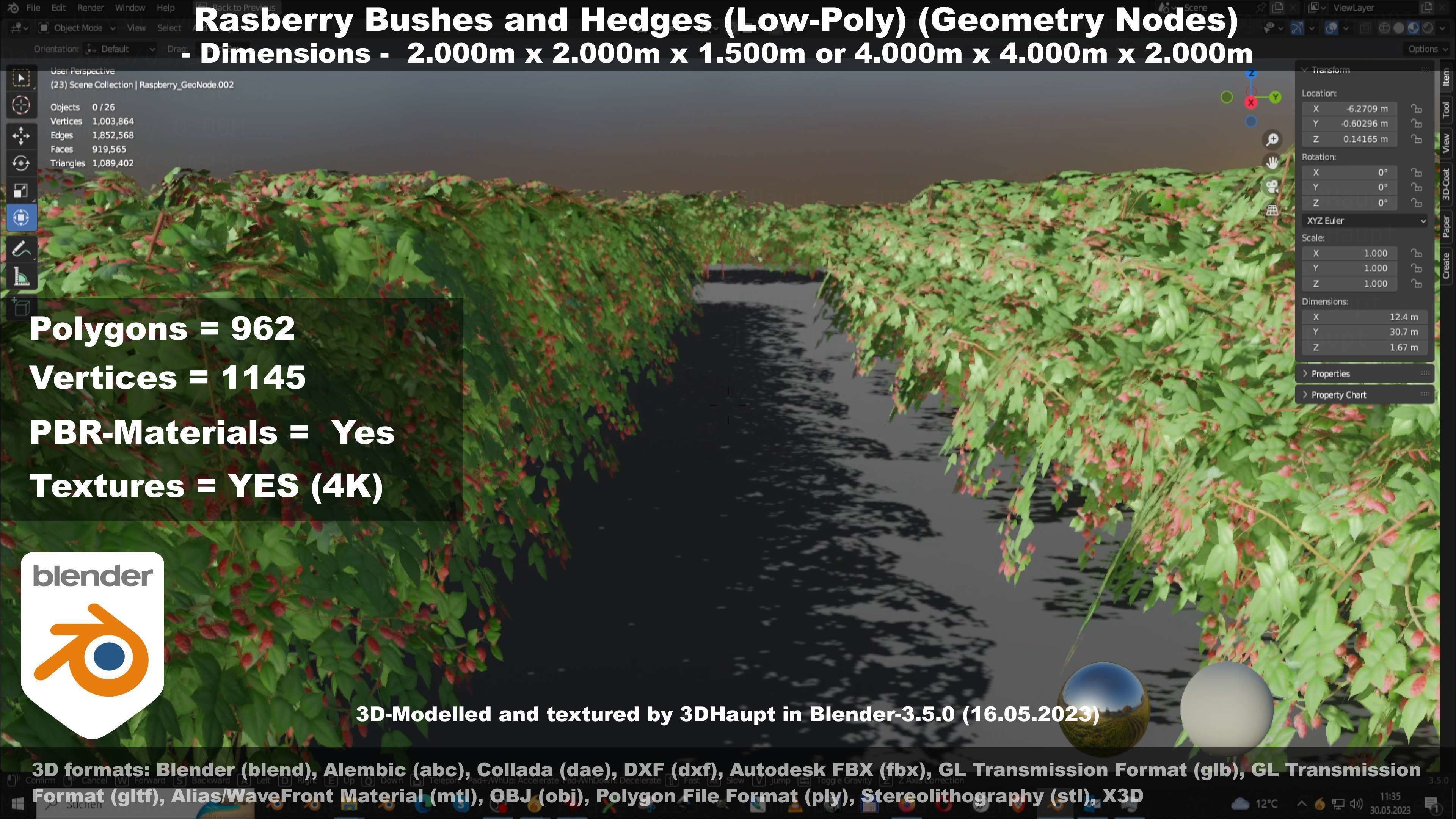 Low-Poly Rasberry Bushes and Hedges Low-poly 3D model_74