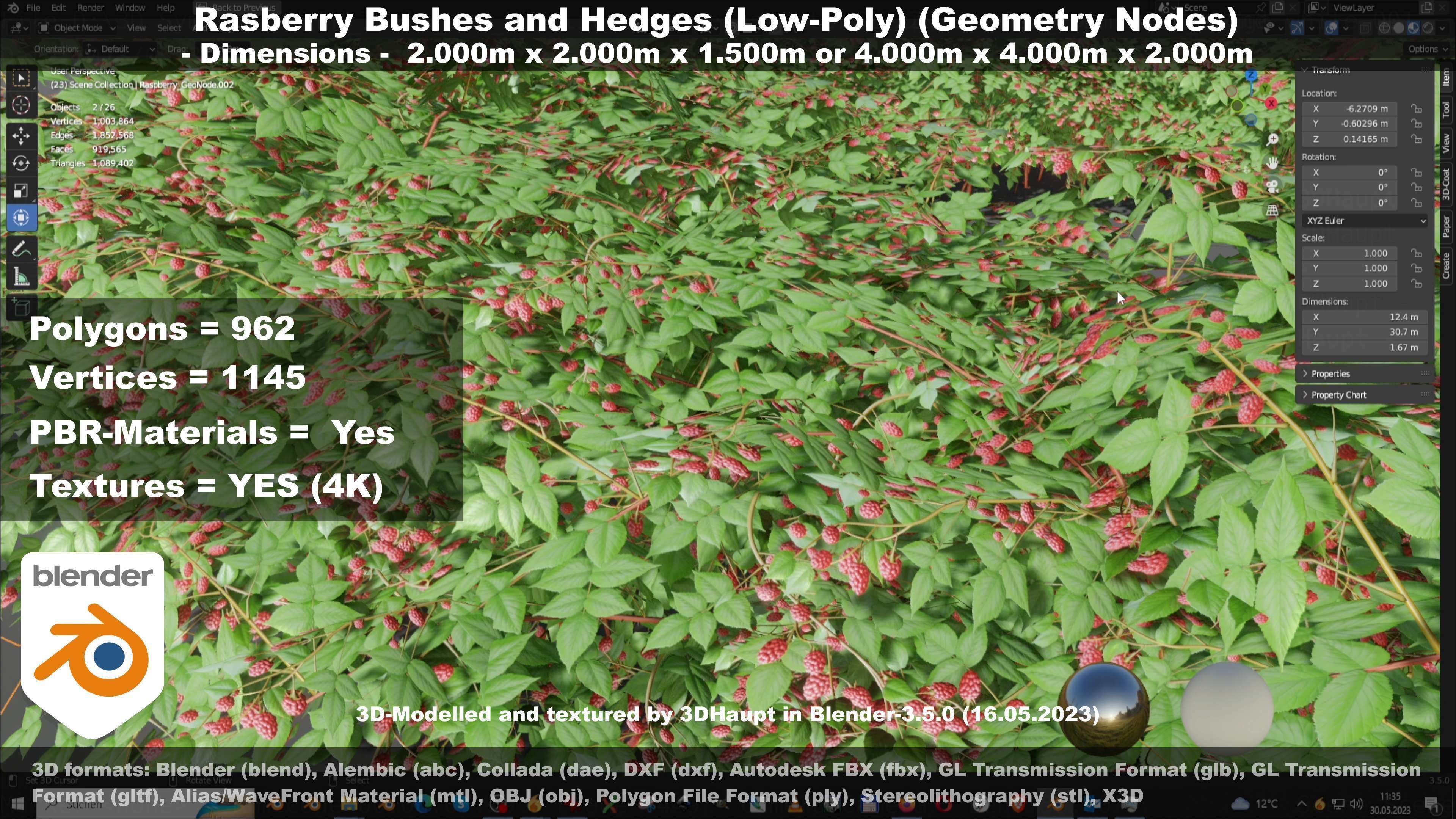 Low-Poly Rasberry Bushes and Hedges Low-poly 3D model_39