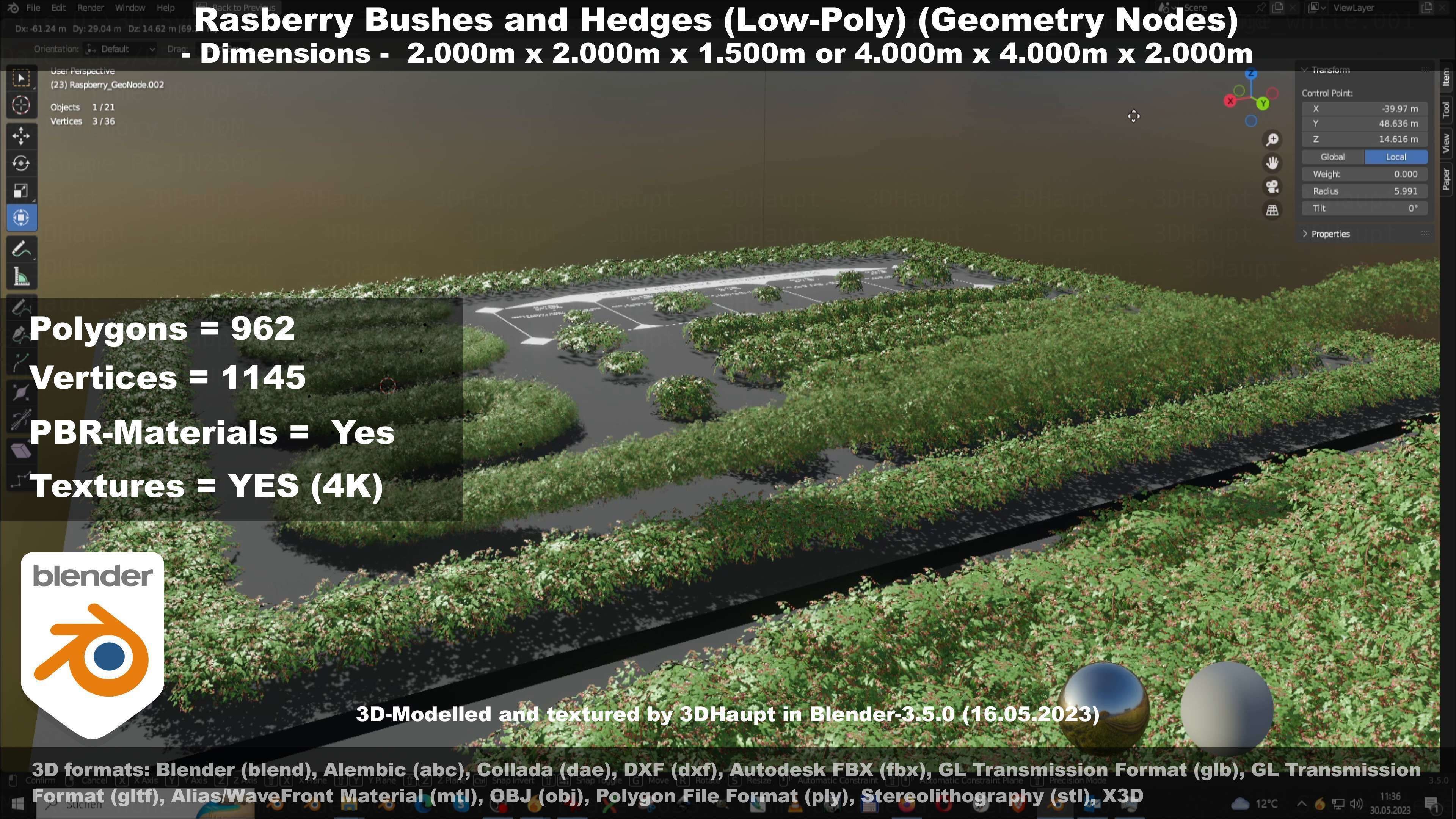 Low-Poly Rasberry Bushes and Hedges Low-poly 3D model_72