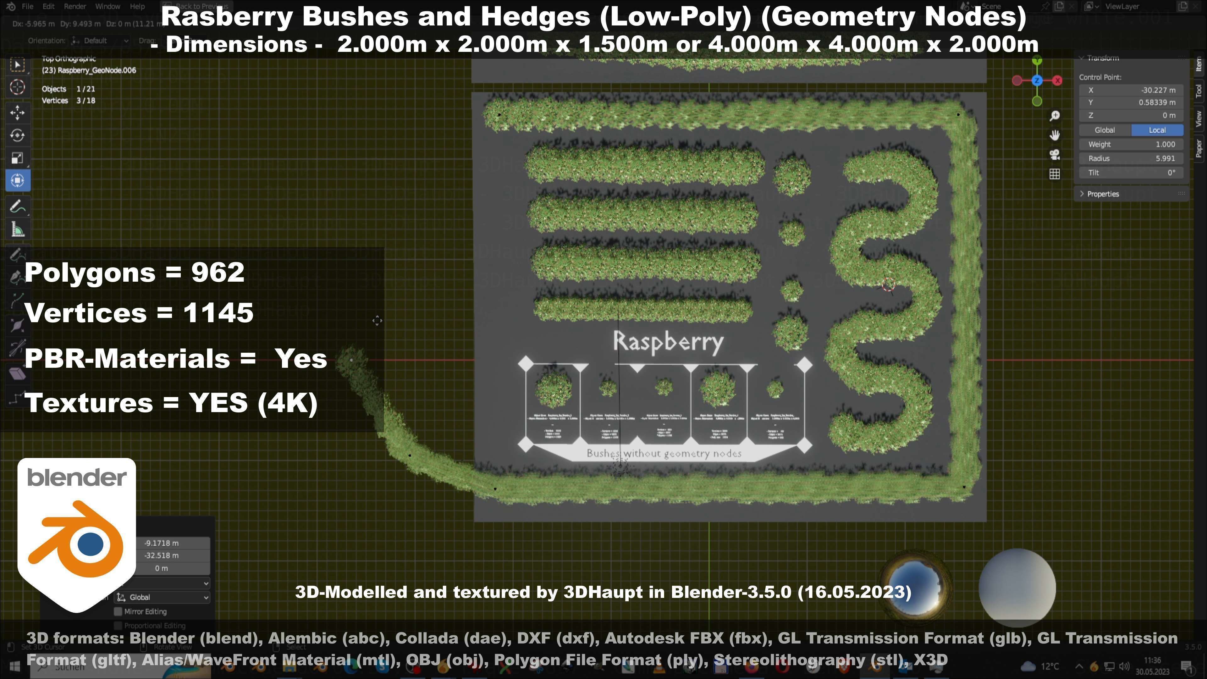 Low-Poly Rasberry Bushes and Hedges Low-poly 3D model_88
