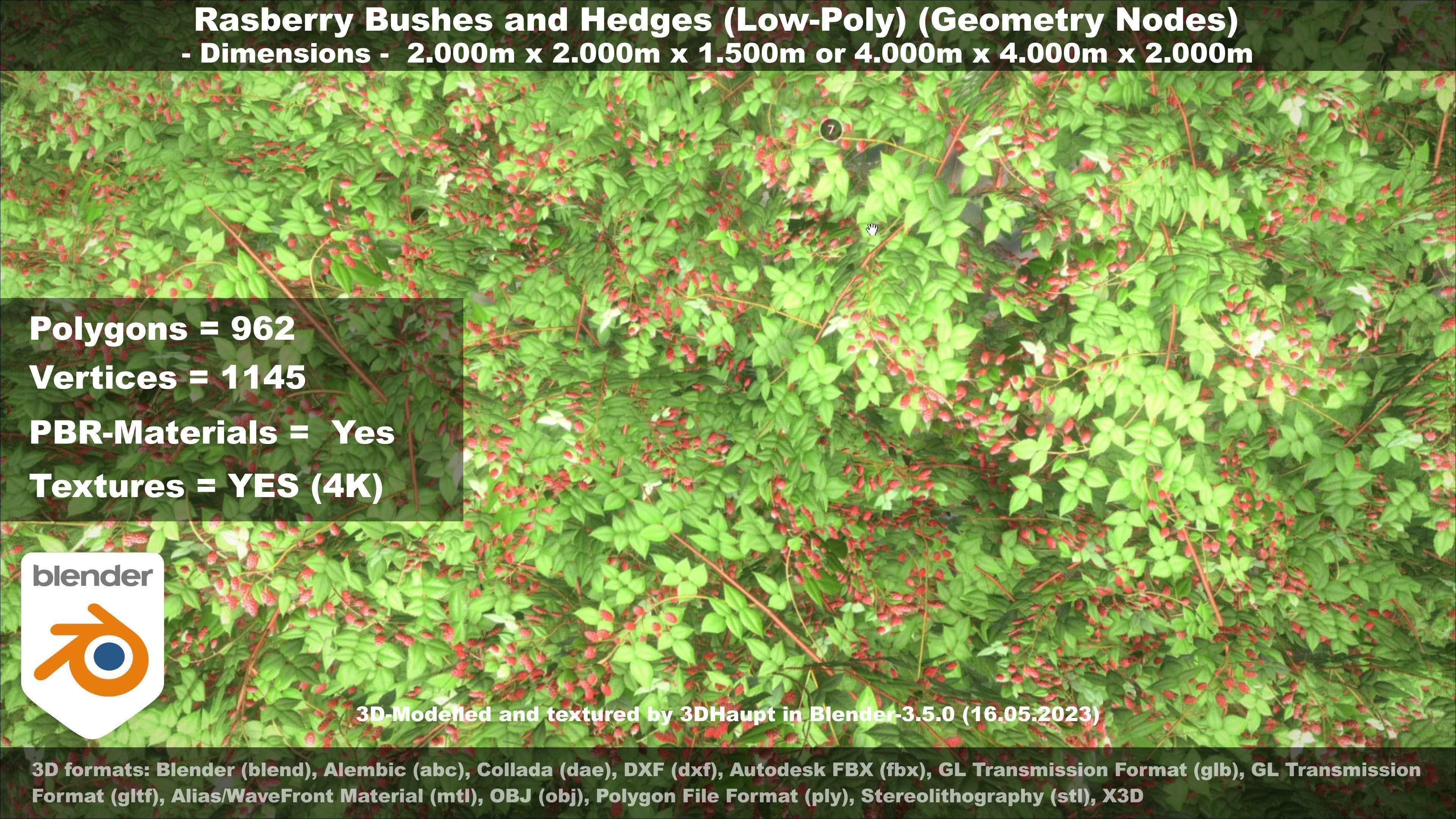 Low-Poly Rasberry Bushes and Hedges Low-poly 3D model_28