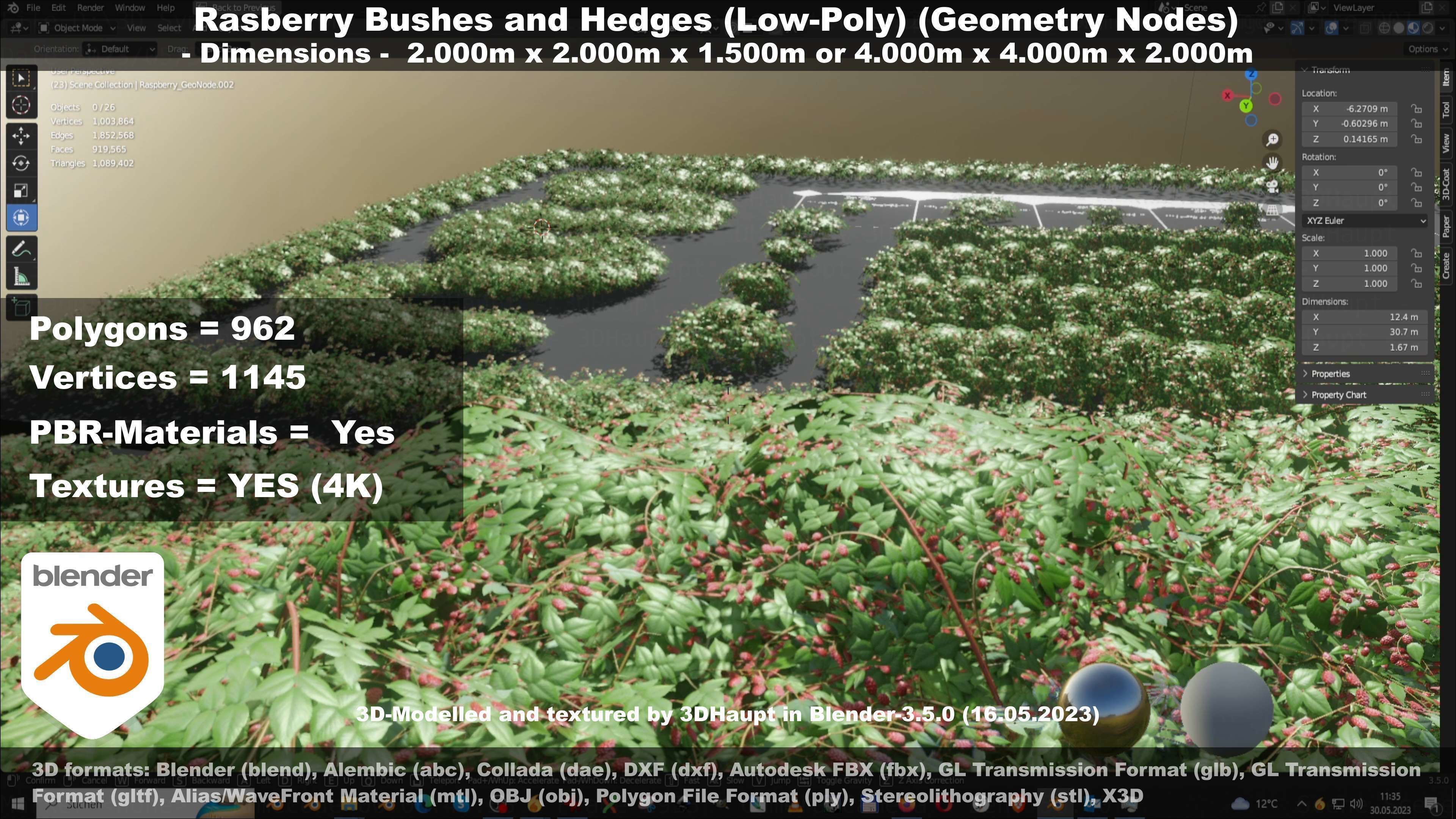 Low-Poly Rasberry Bushes and Hedges Low-poly 3D model_61