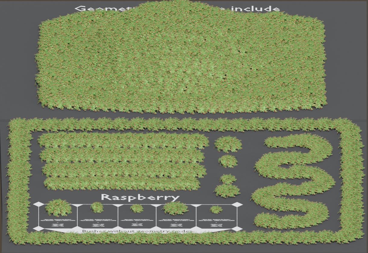 Low-Poly Rasberry Bushes and Hedges Low-poly 3D model_14