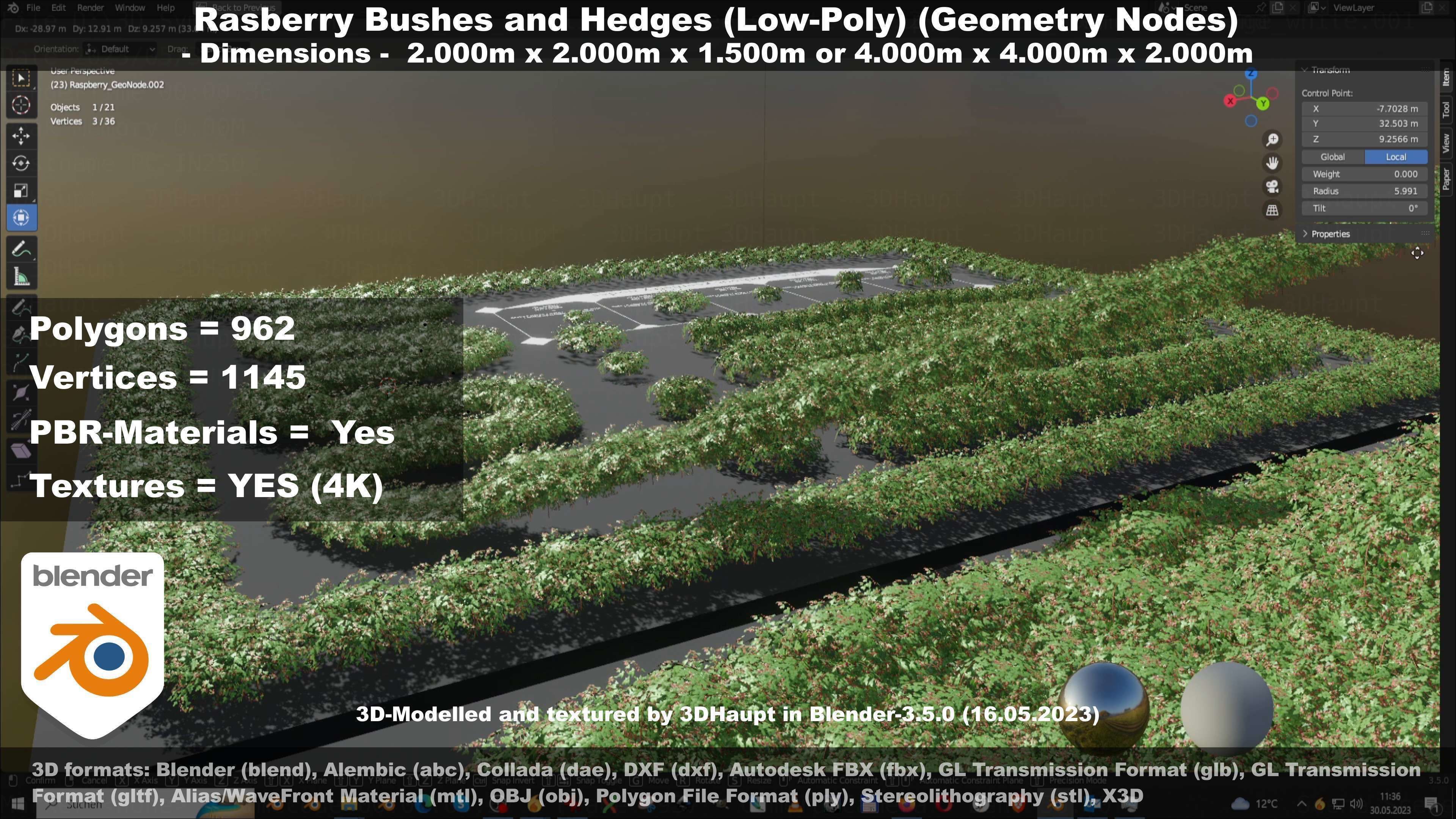 Low-Poly Rasberry Bushes and Hedges Low-poly 3D model_71