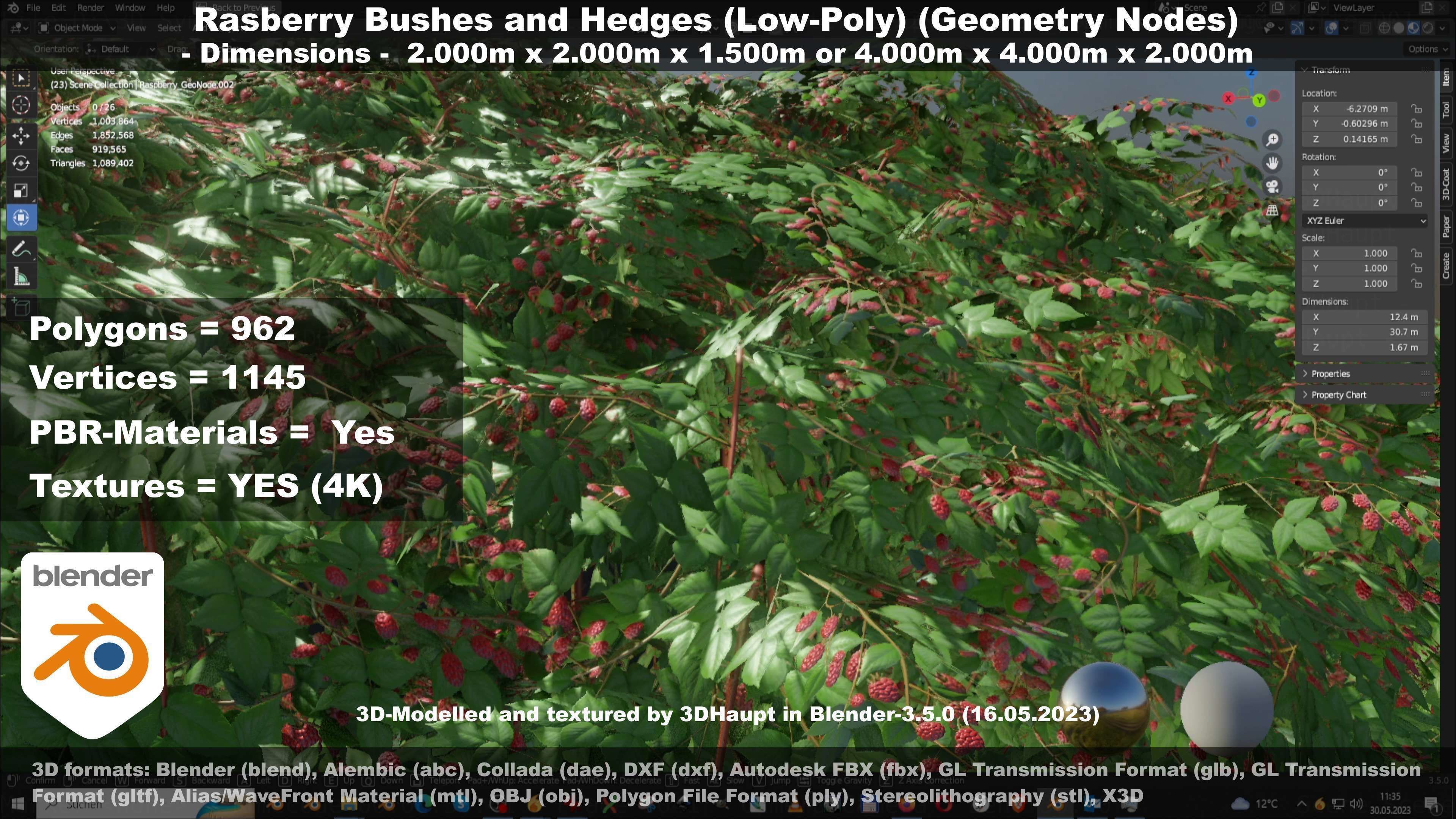 Low-Poly Rasberry Bushes and Hedges Low-poly 3D model_44
