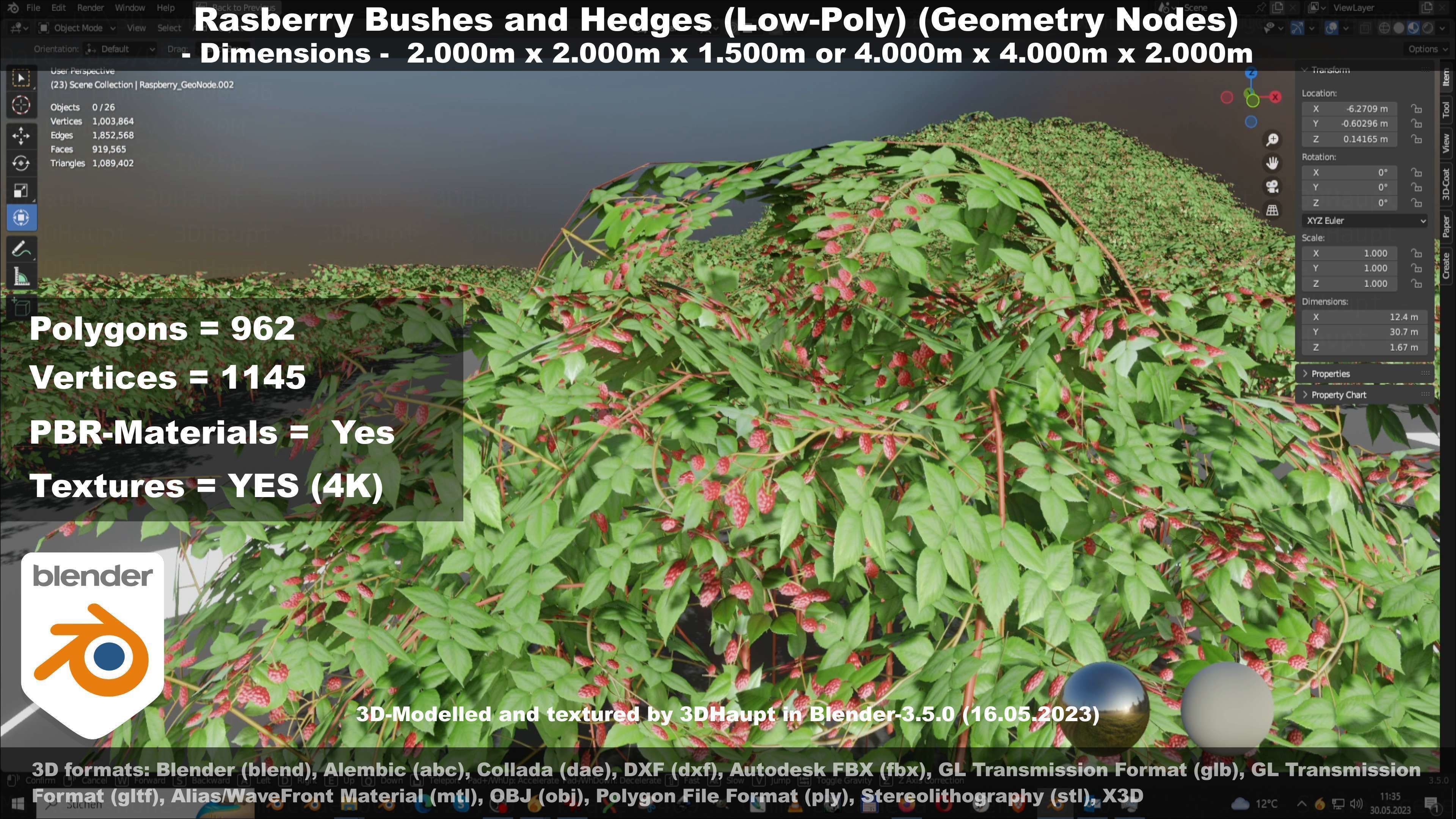 Low-Poly Rasberry Bushes and Hedges Low-poly 3D model_96