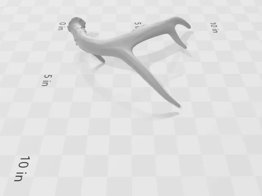 Antlers - Whitetail Deer Typical V1 3D print model_0
