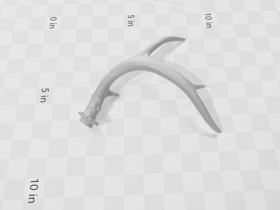 Antlers - Whitetail Deer Typical V1 3D print model_1