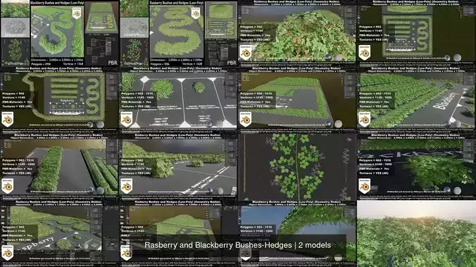 Rasberry and Blackberry Bushes-Hedges 3D Model Collection