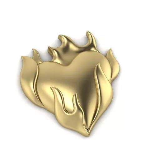 Heart Model 3612 3D print model_0