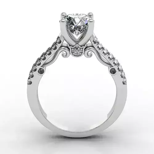 Verragio Dual Row Shared-Pron 3D print model