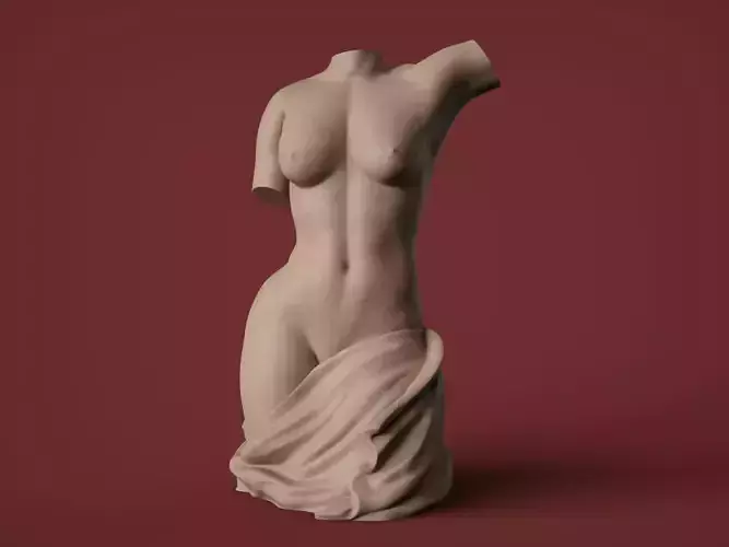 Female Torso 4