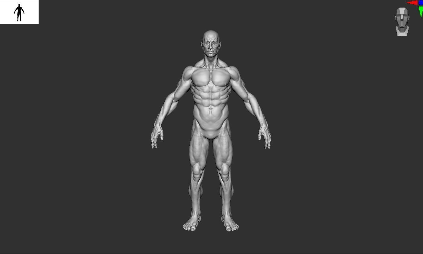 Man Male 3D model_7
