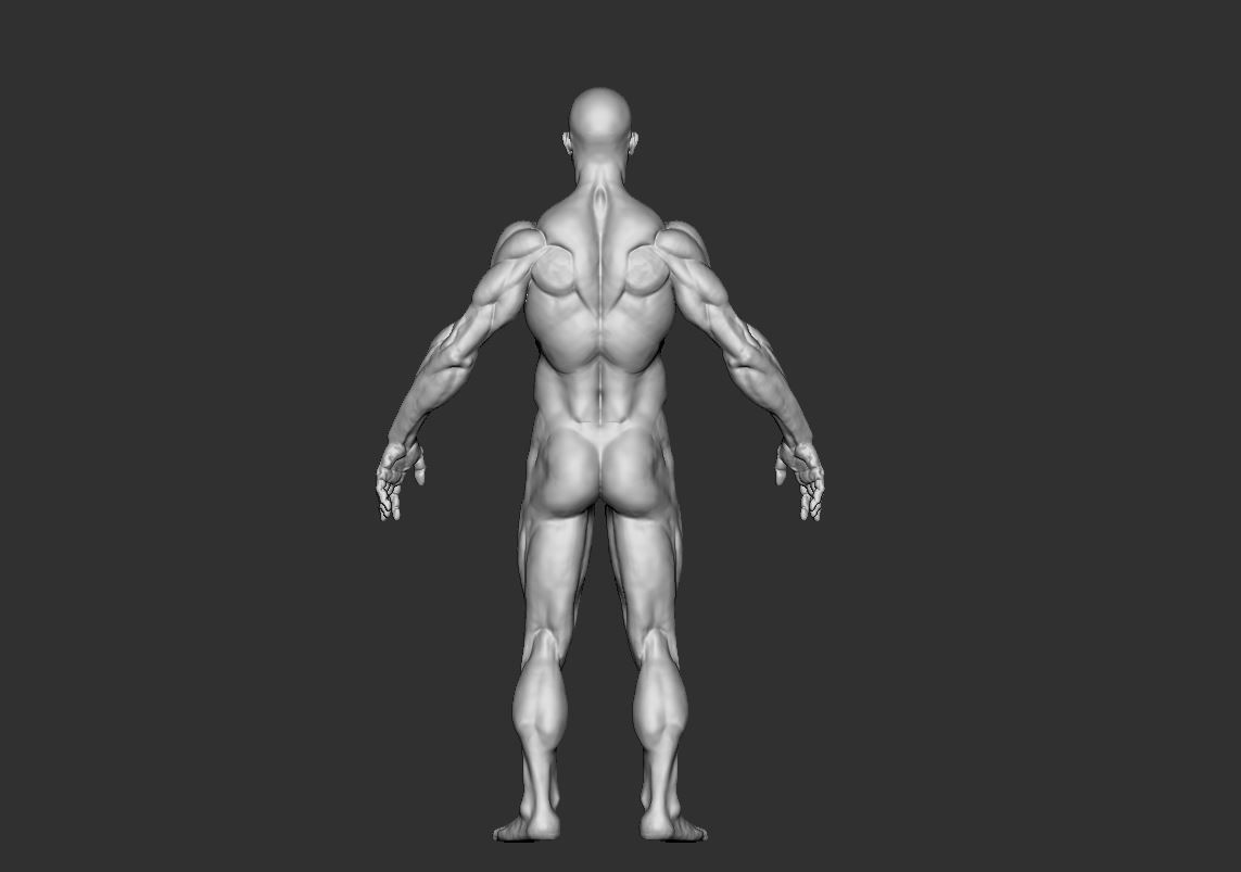 Man Male 3D model_6