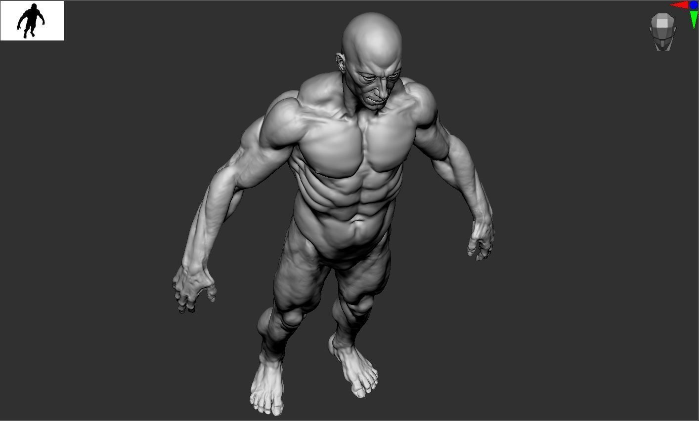 Man Male 3D model_1