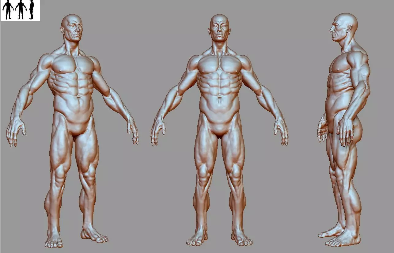 Man Male 3D model_0